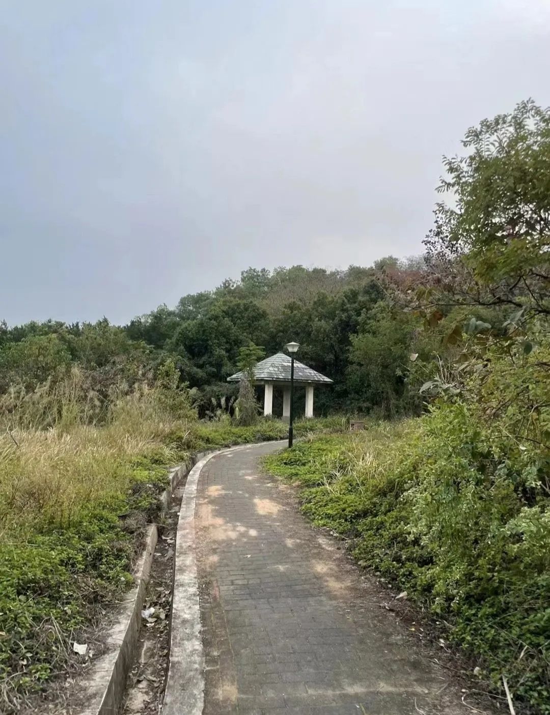 白云中央湿地旅行图片 2