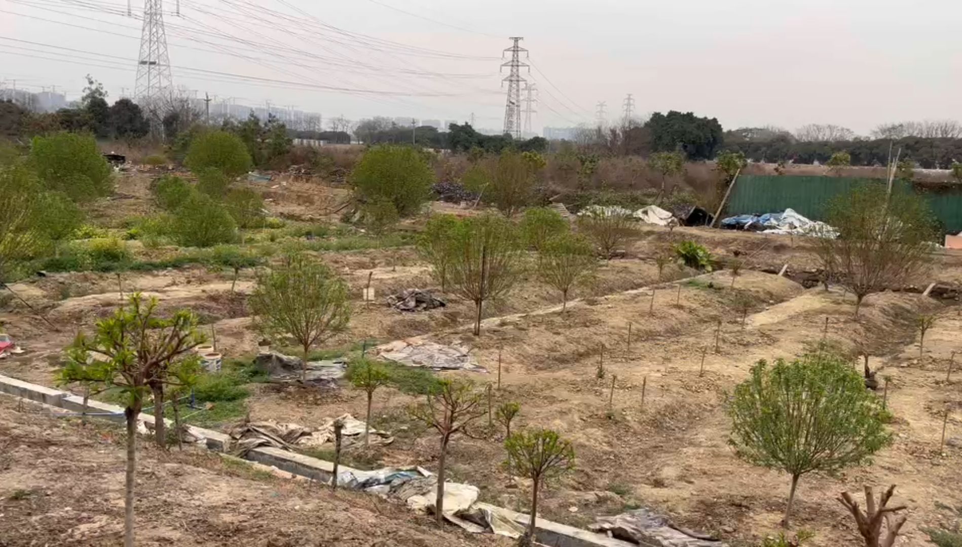 白云中央湿地旅行图片 1
