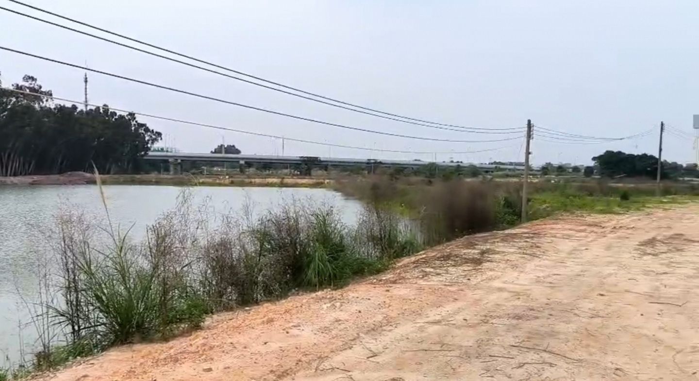白云中央湿地旅行图片 1