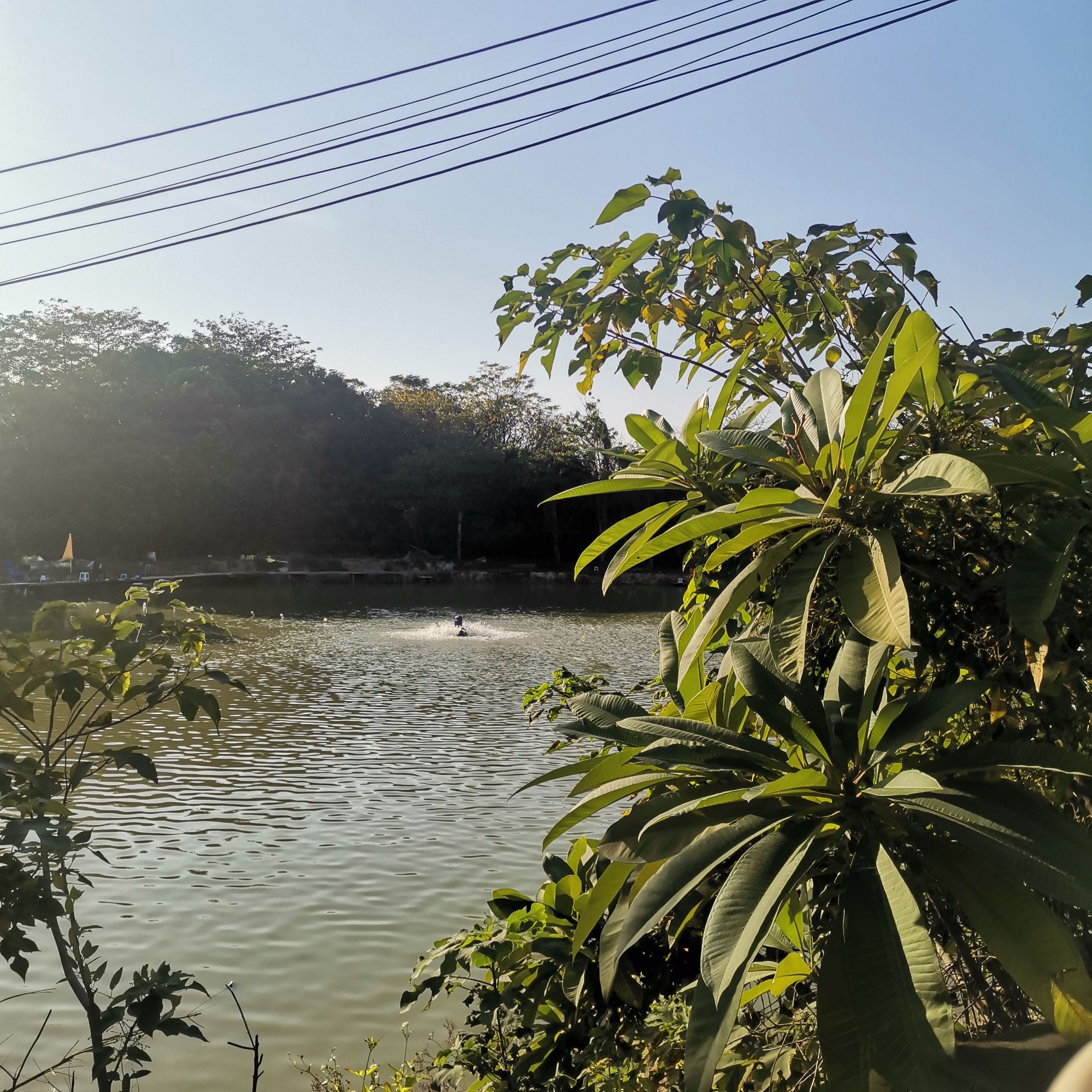 白云中央湿地旅行图片 3
