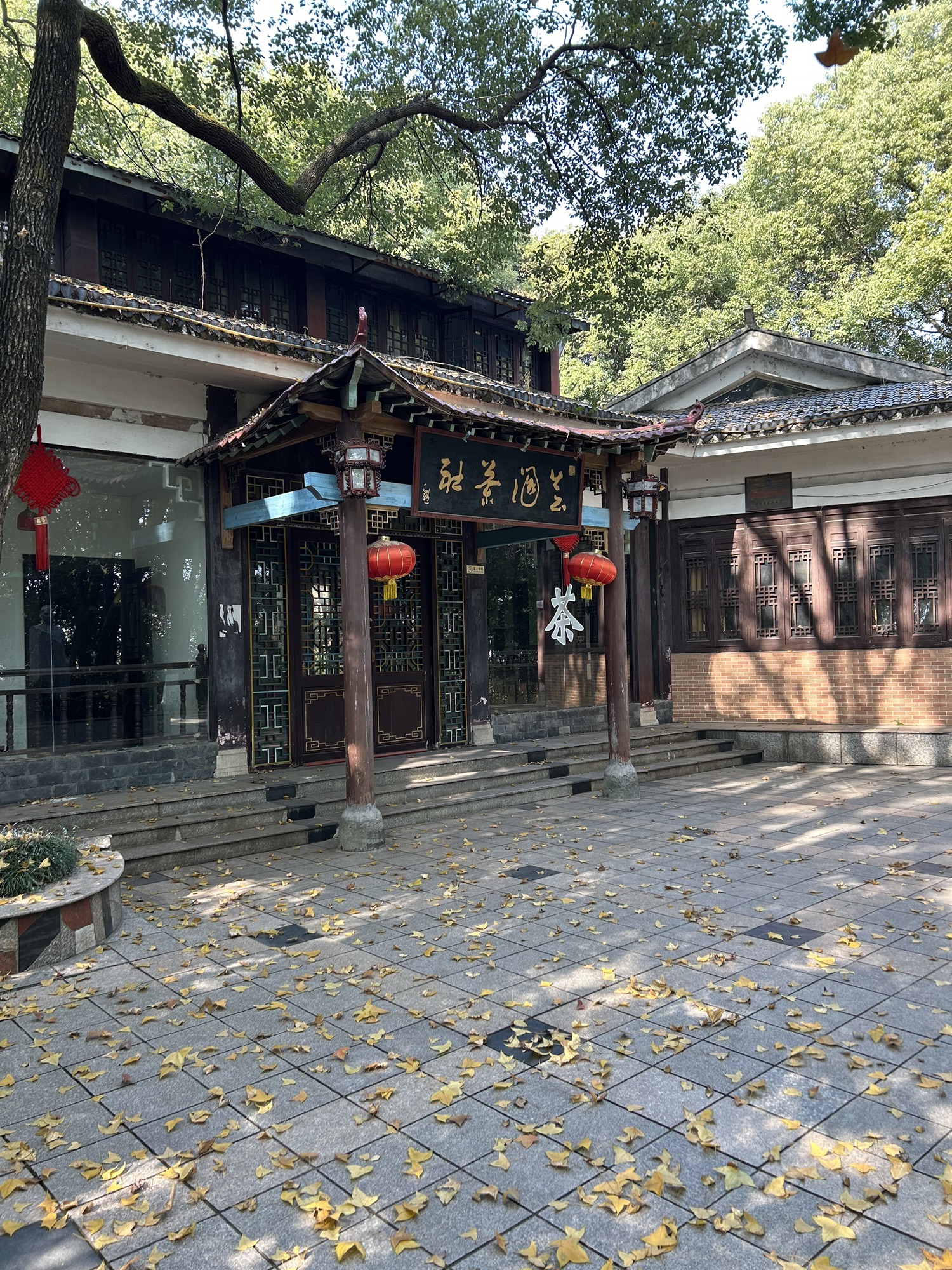 金螺峰公园旅行图片 3