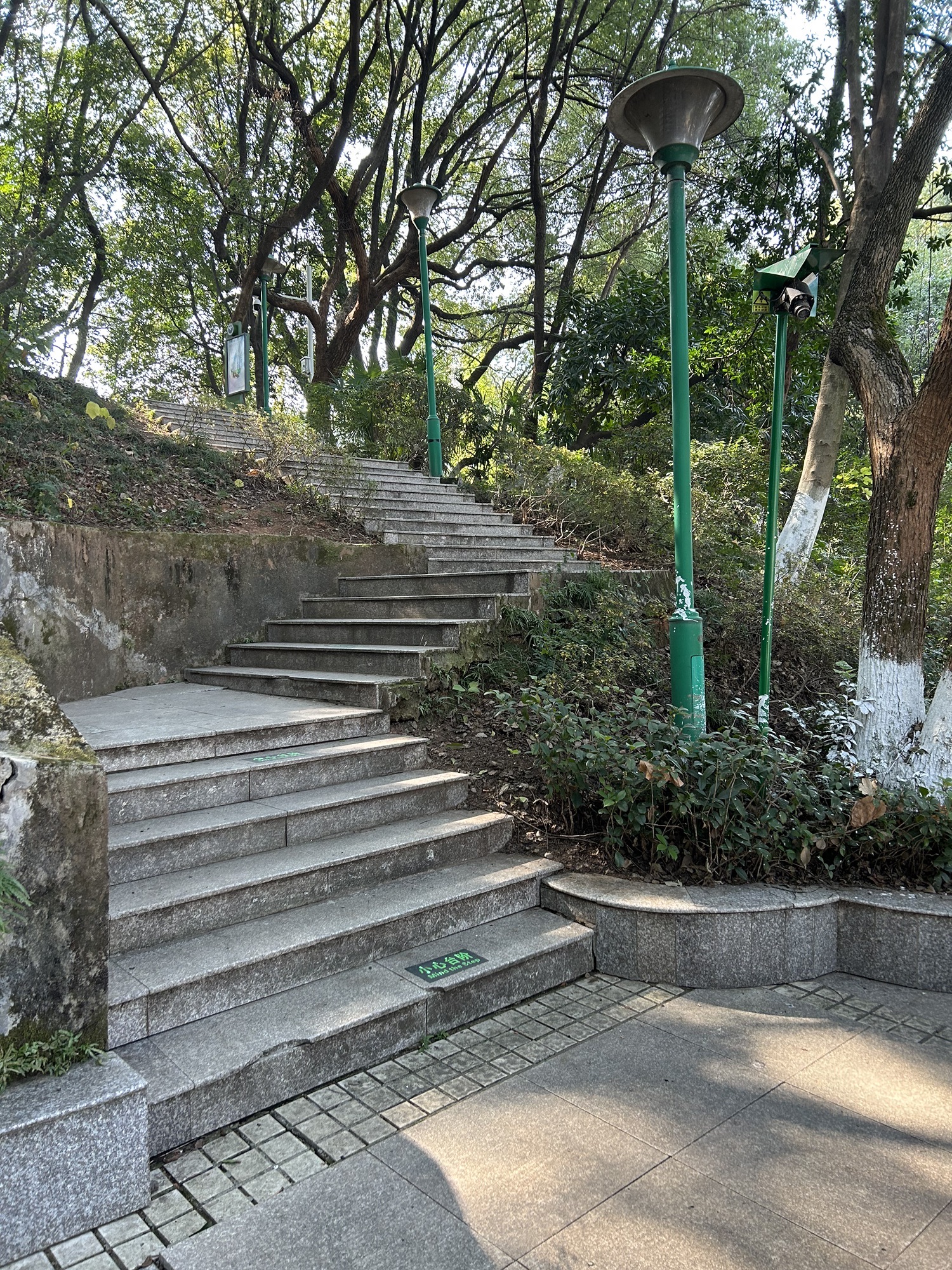 金螺峰公园旅行图片 1