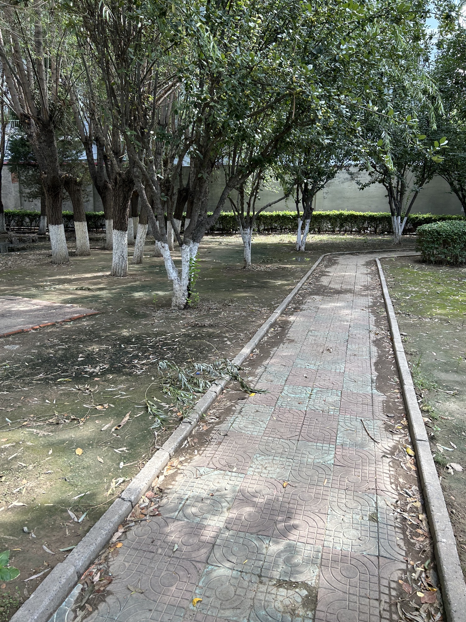 东姜井公园旅行图片 2