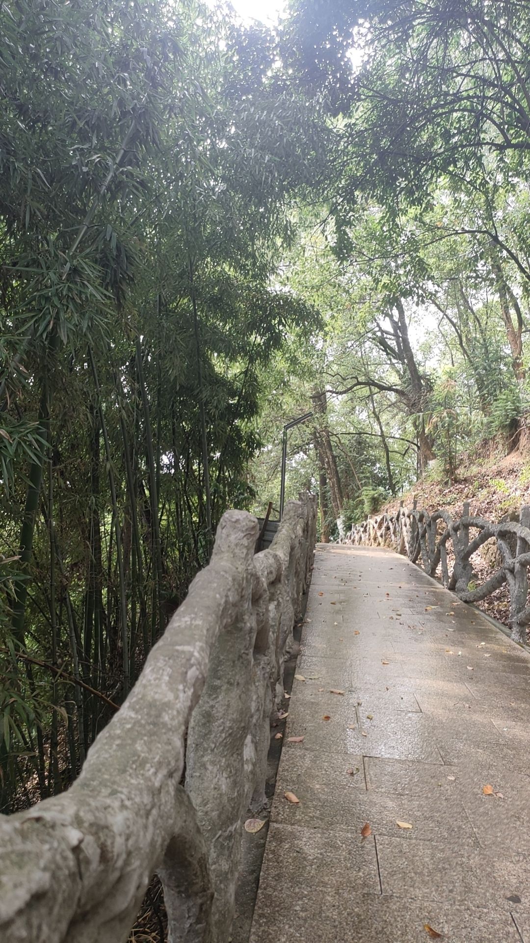 李畋公园旅行图片 1