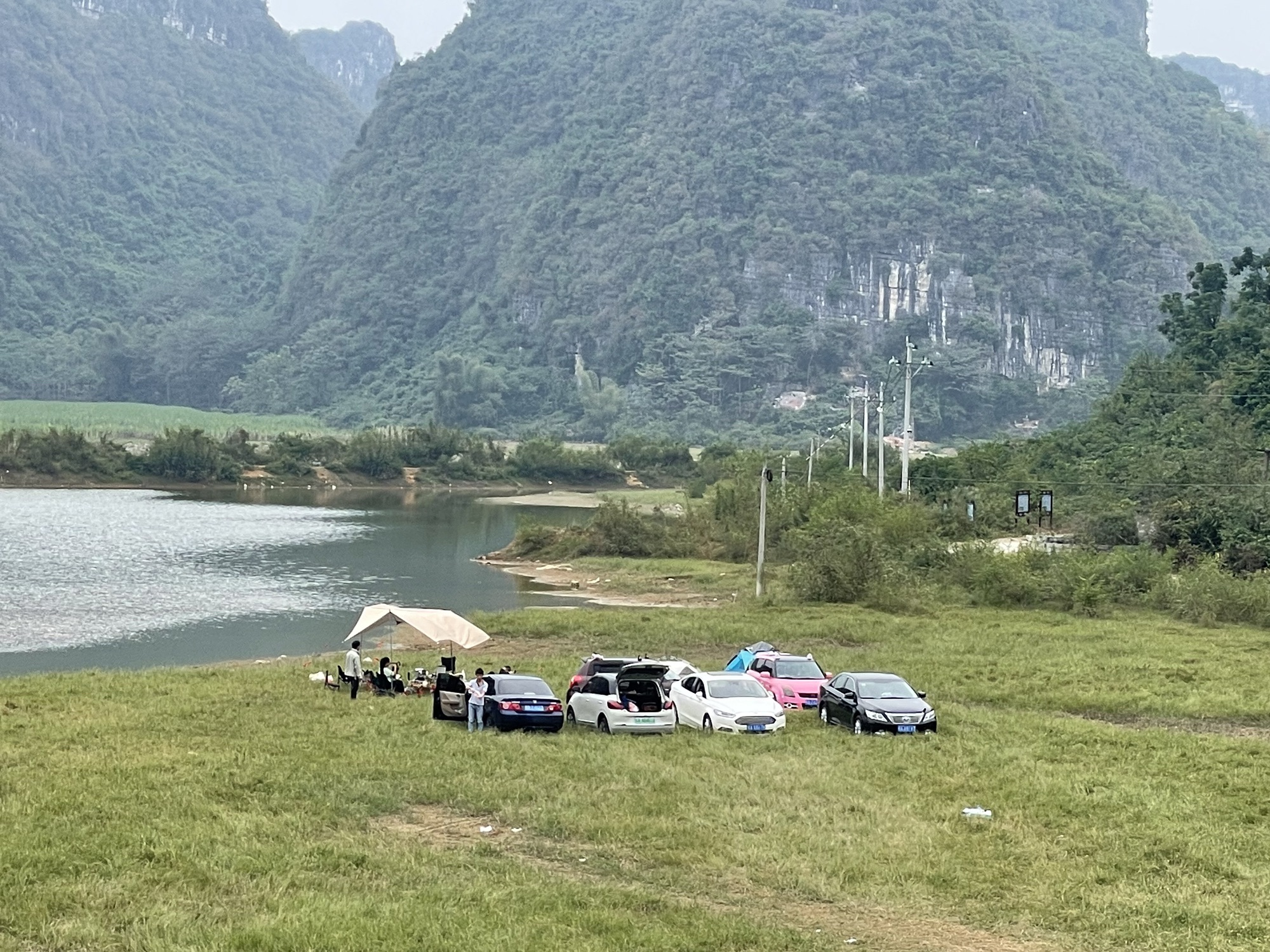 东红湿地公园旅行图片 3