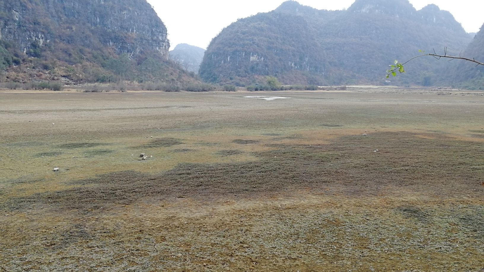 东红湿地公园旅行图片 3