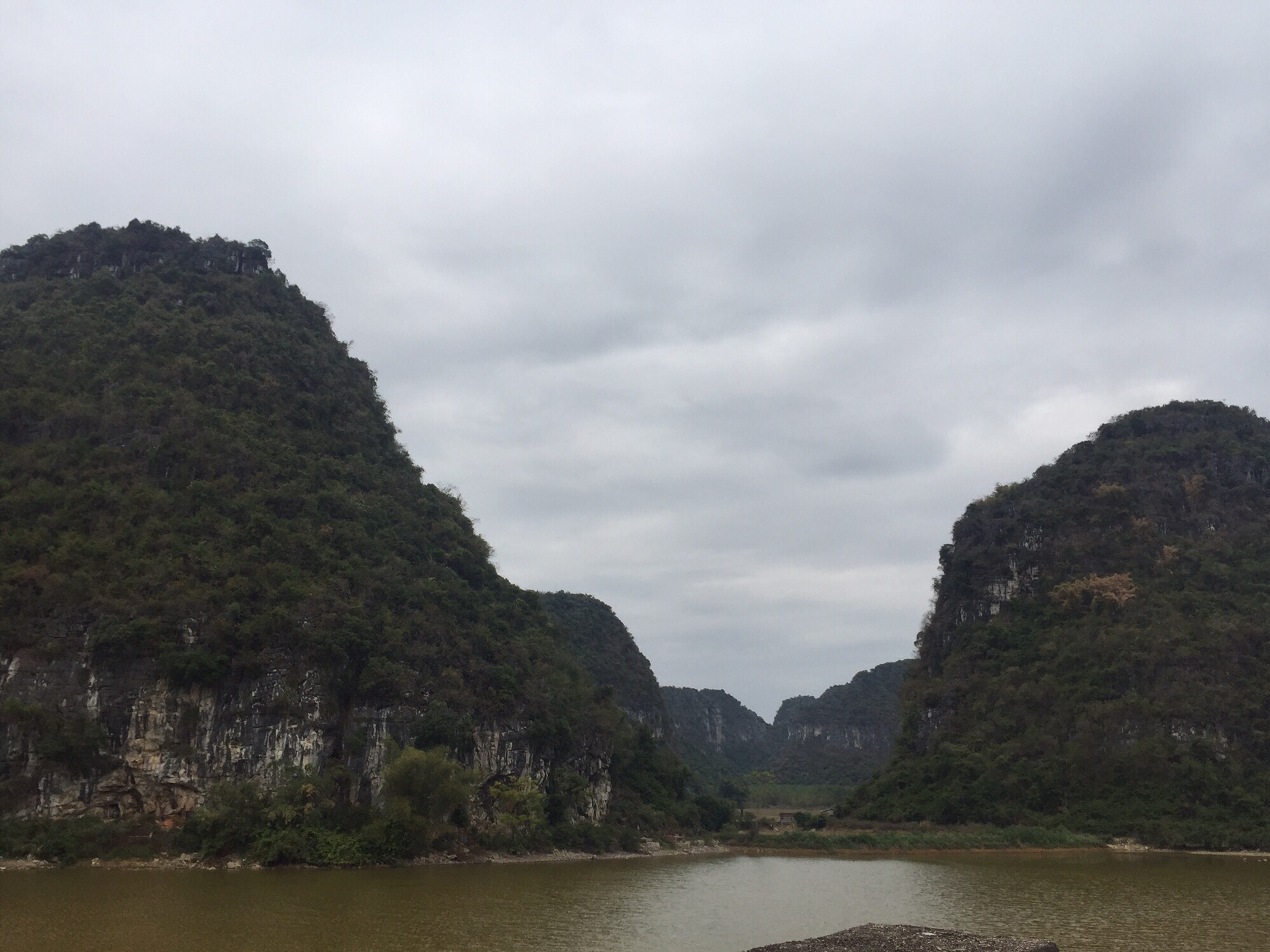 东红湿地公园旅行图片 2