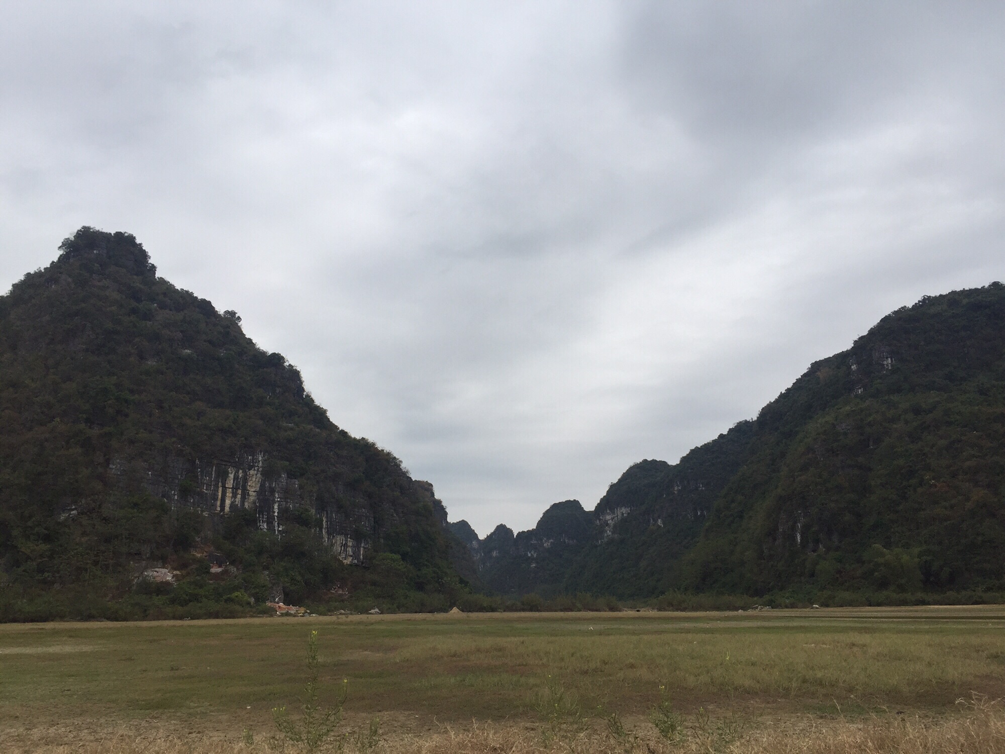 东红湿地公园旅行图片 3