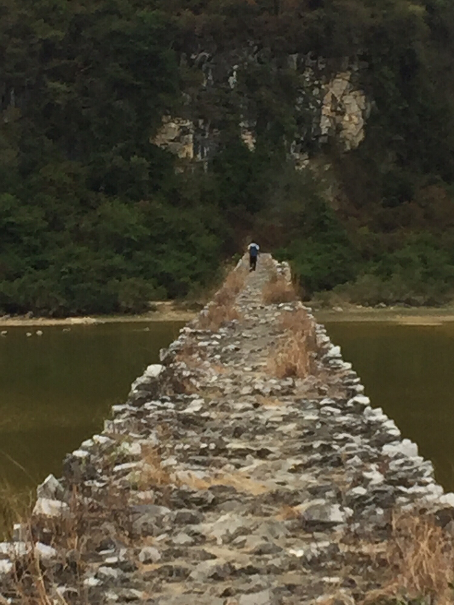 东红湿地公园旅行图片 1