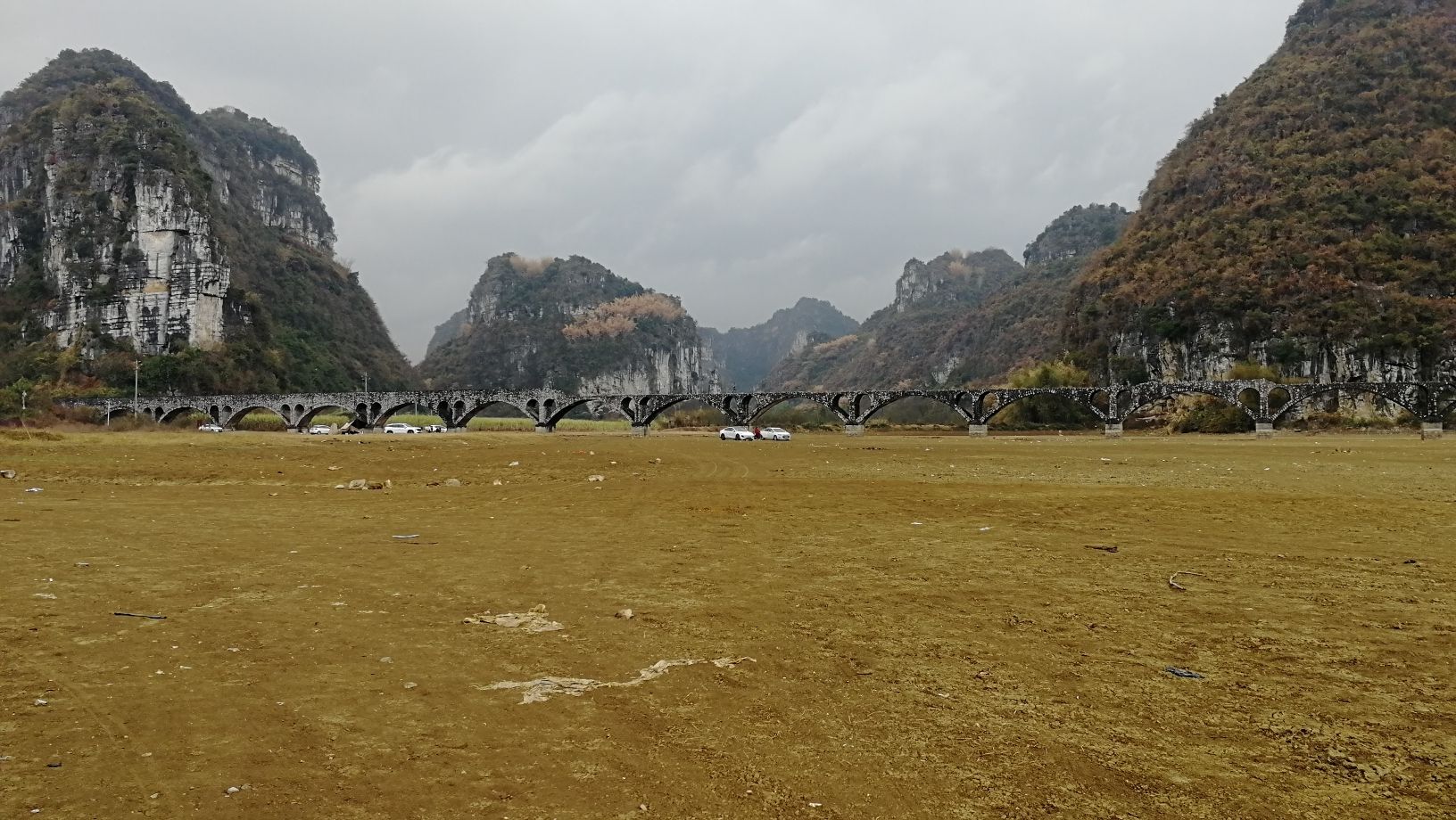 东红湿地公园旅行图片 2