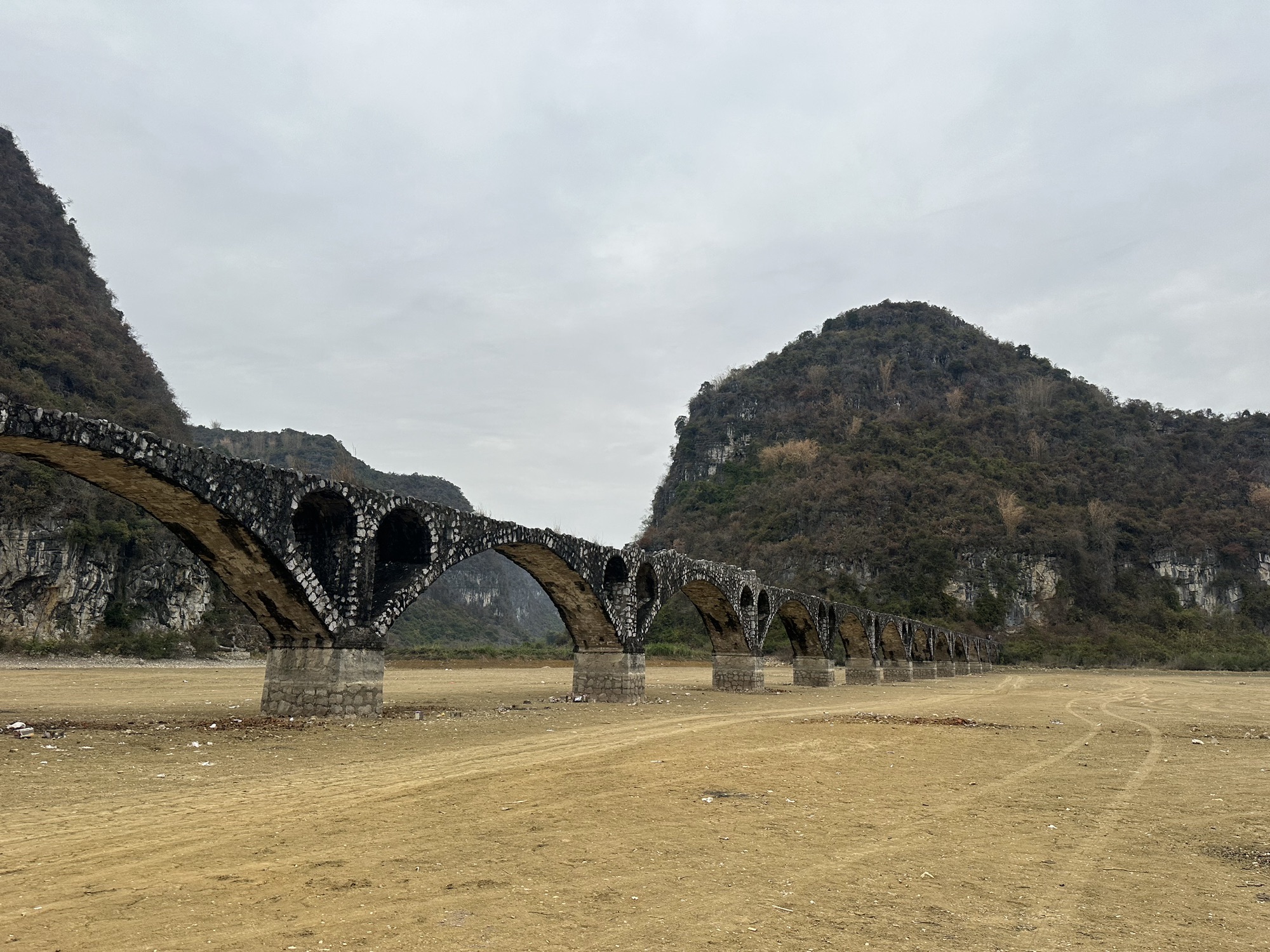 东红湿地公园旅行图片 1