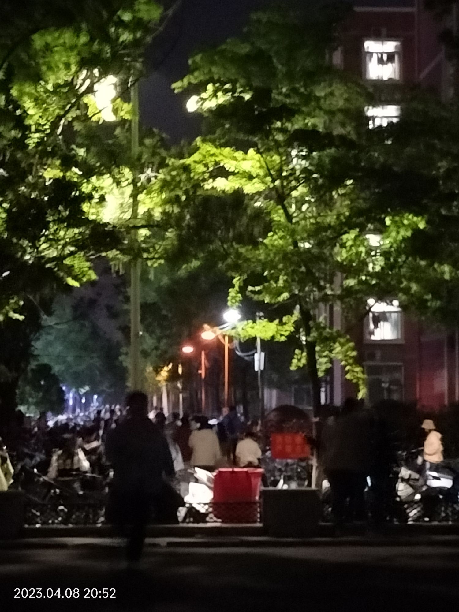 郑州大学南体育场