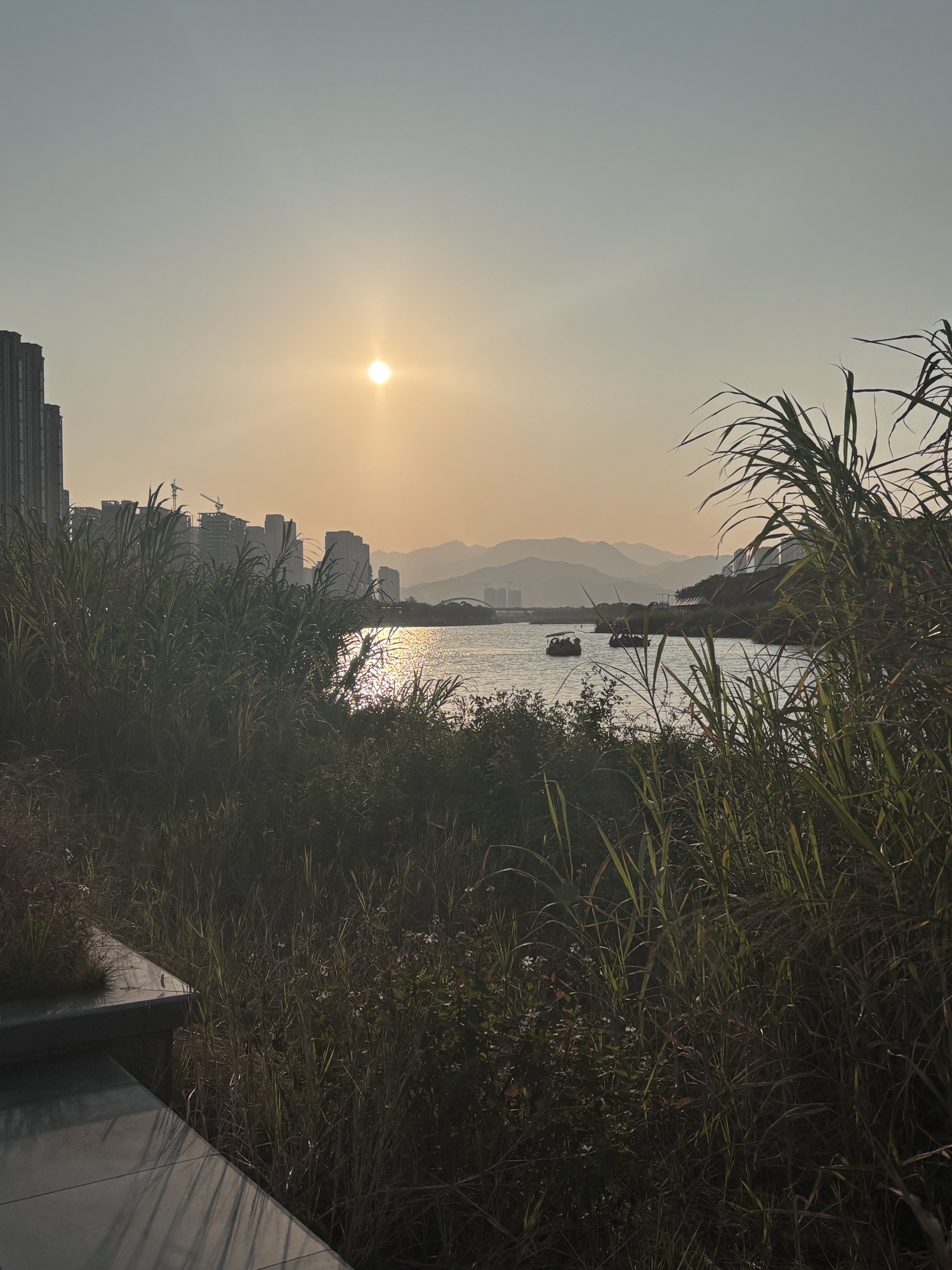 龙江生态文化园旅行图片 1