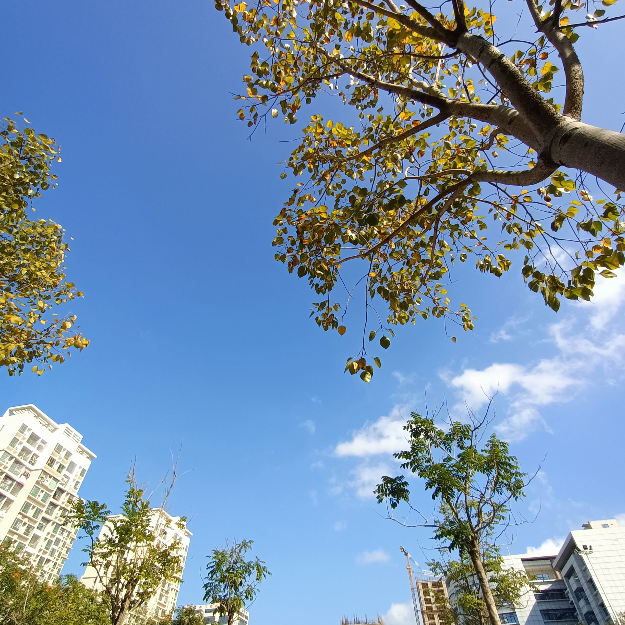 双创广场旅行图片 2