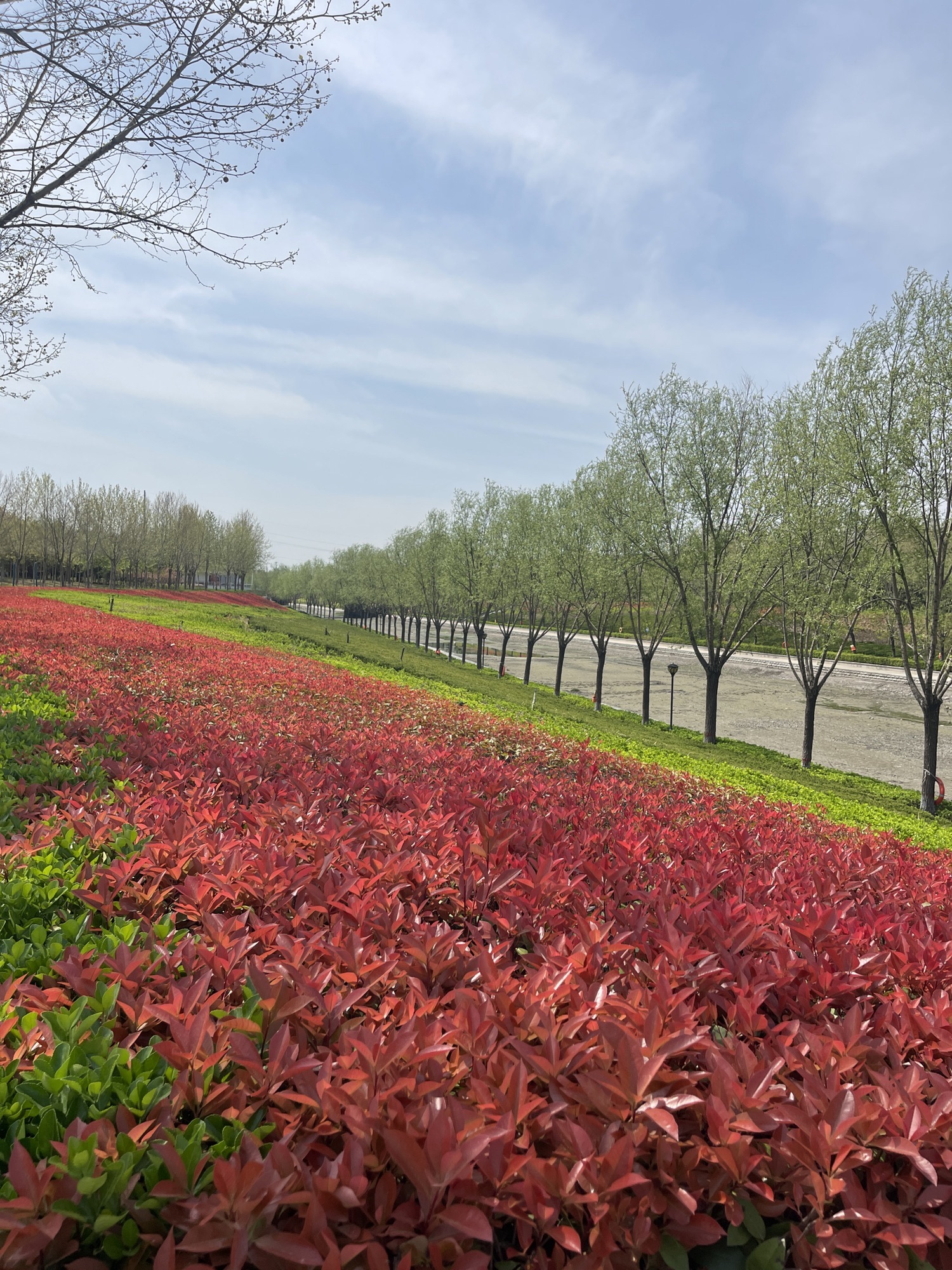 凤河公园旅行图片 3