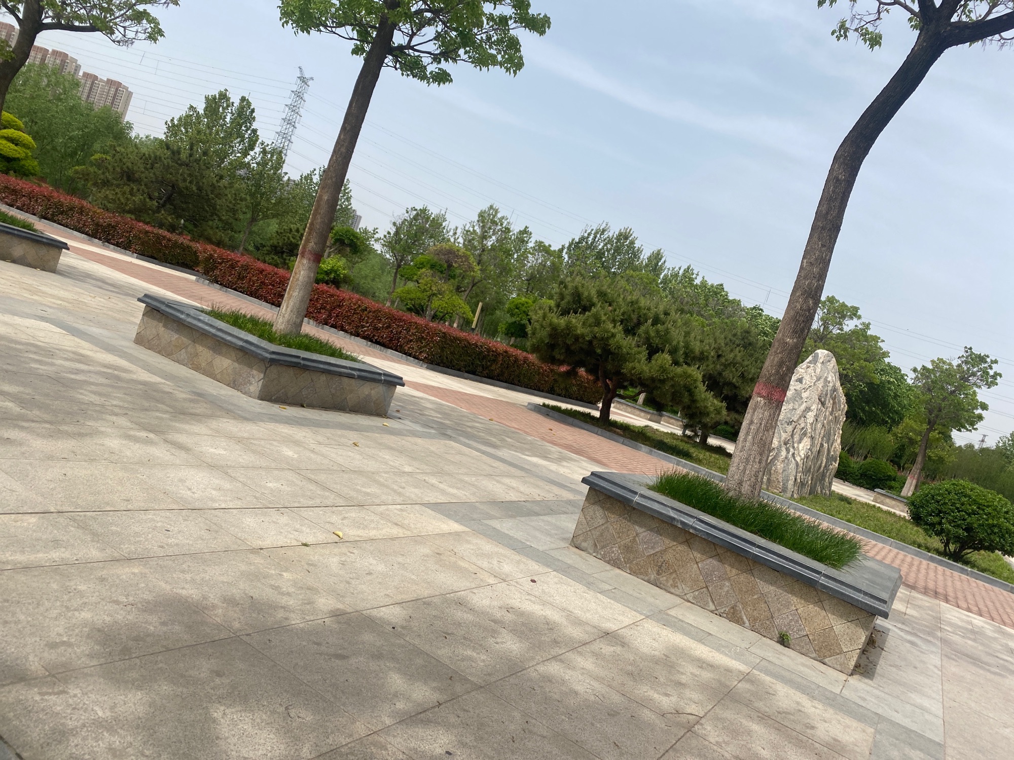 凤河公园旅行图片 1