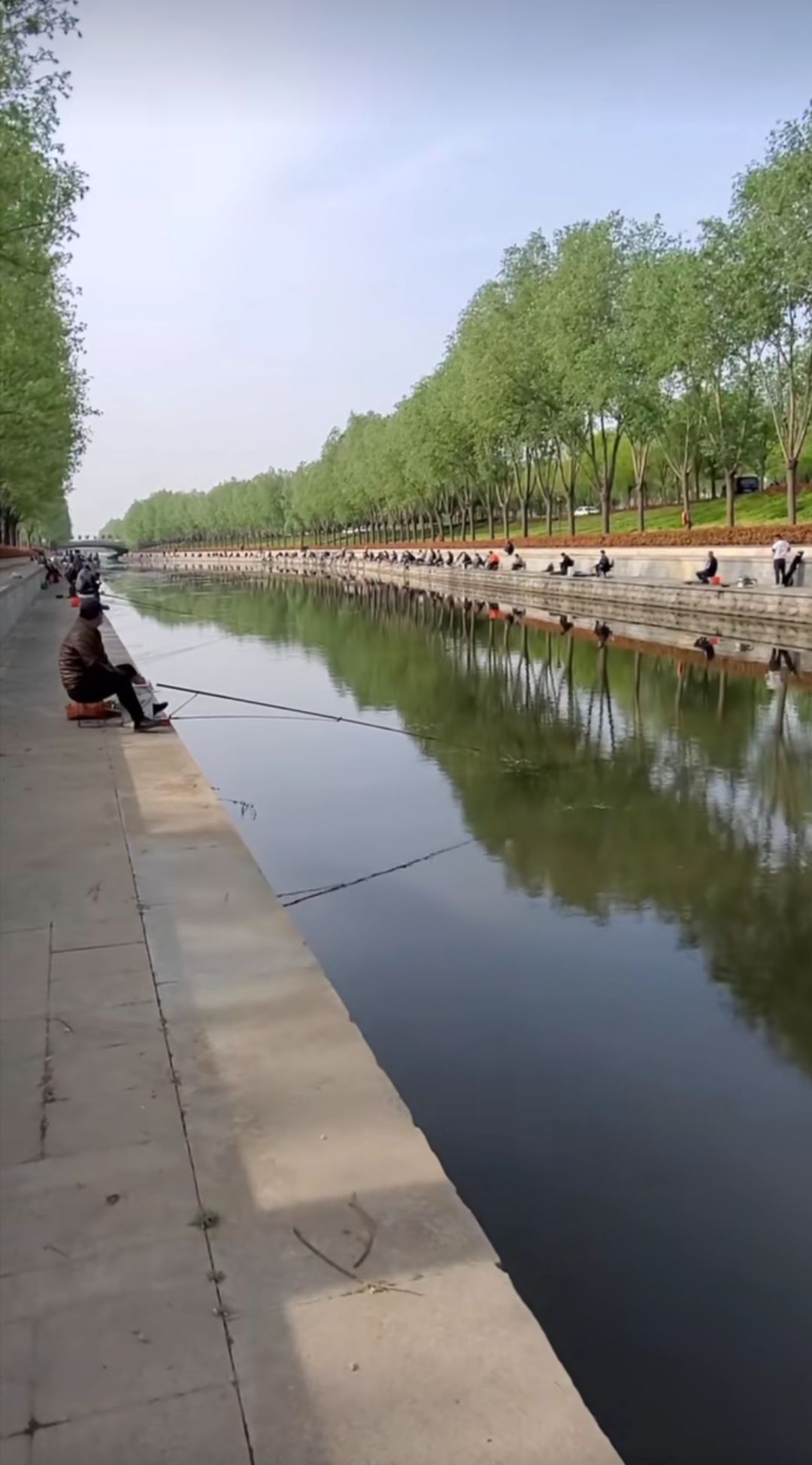 凤河公园旅行图片 2