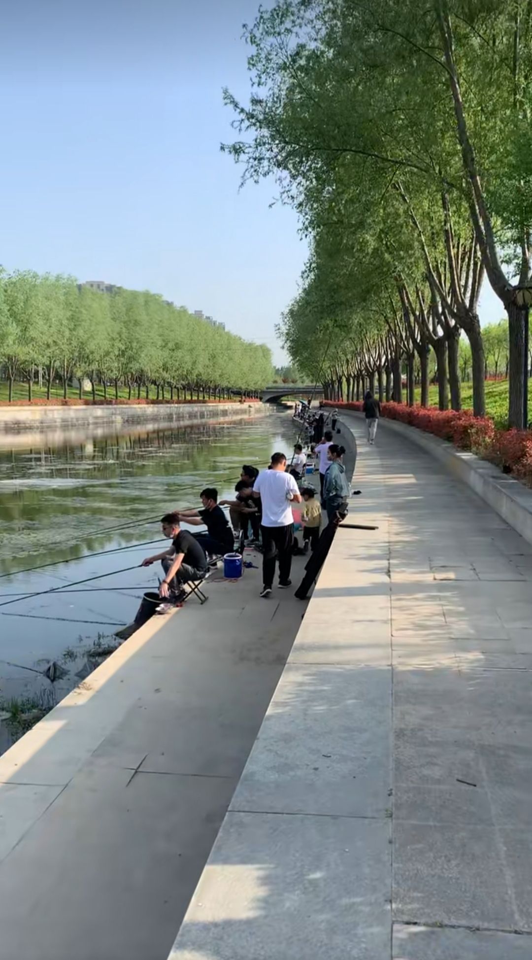 凤河公园旅行图片 1