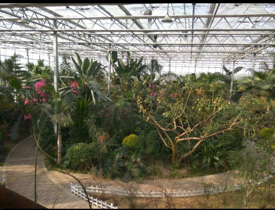 灵璧植物园旅行图片 1