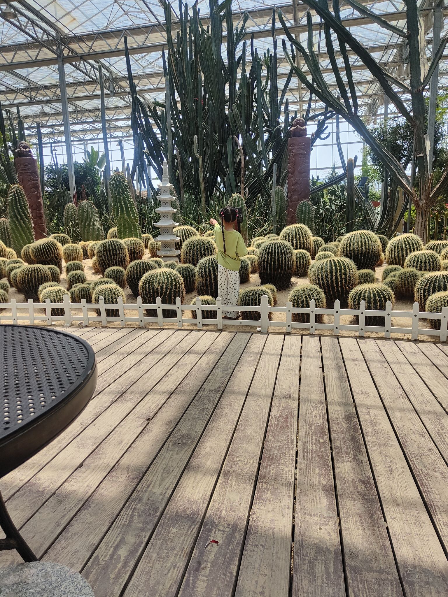 灵璧植物园旅行图片 2