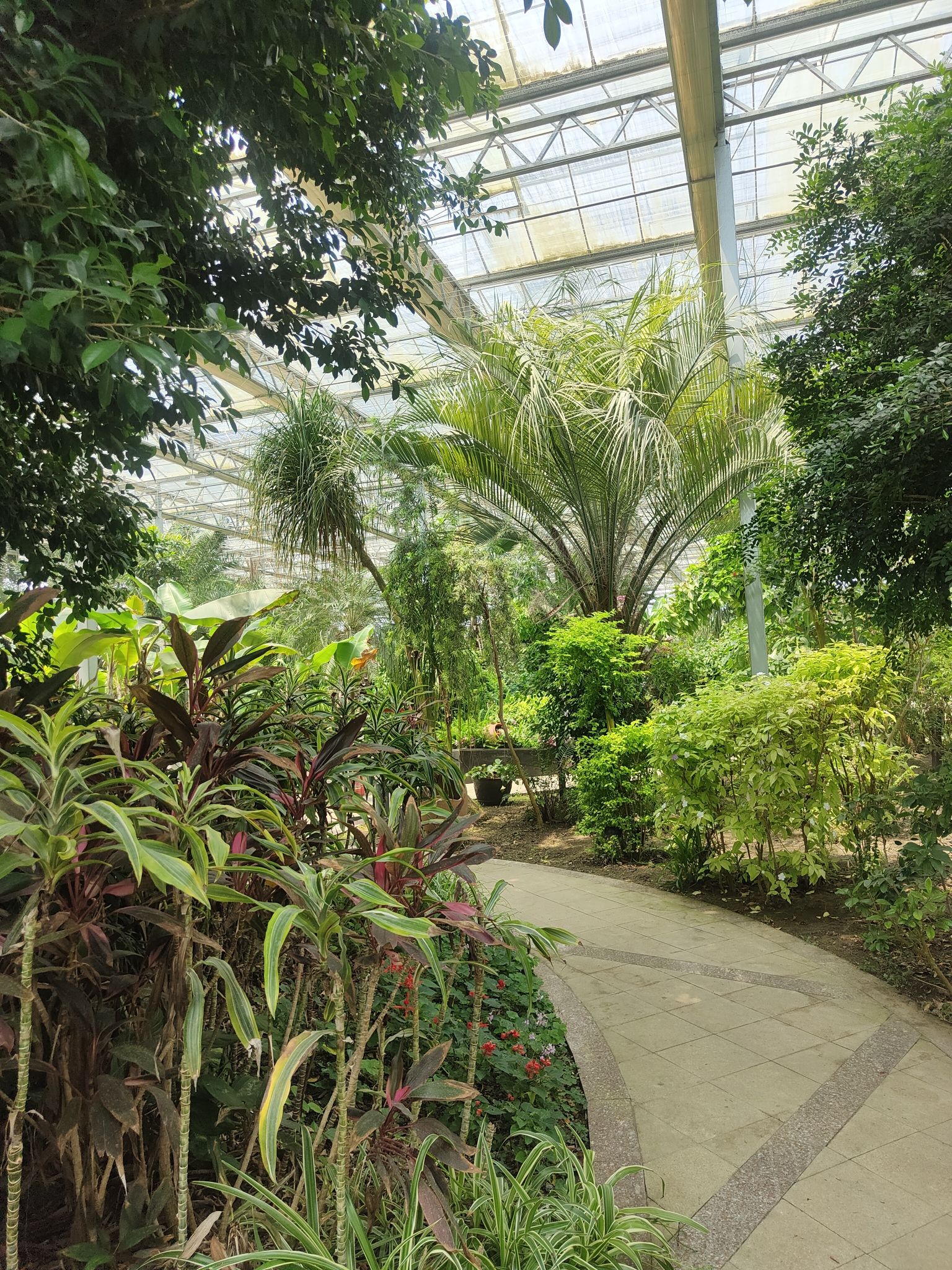 灵璧植物园旅行图片 3