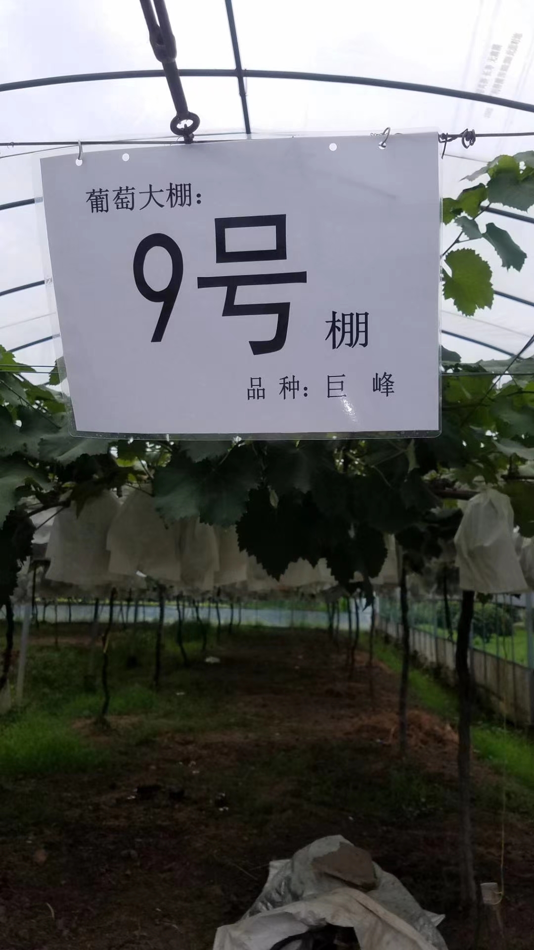 上海宏泰园旅行图片 2