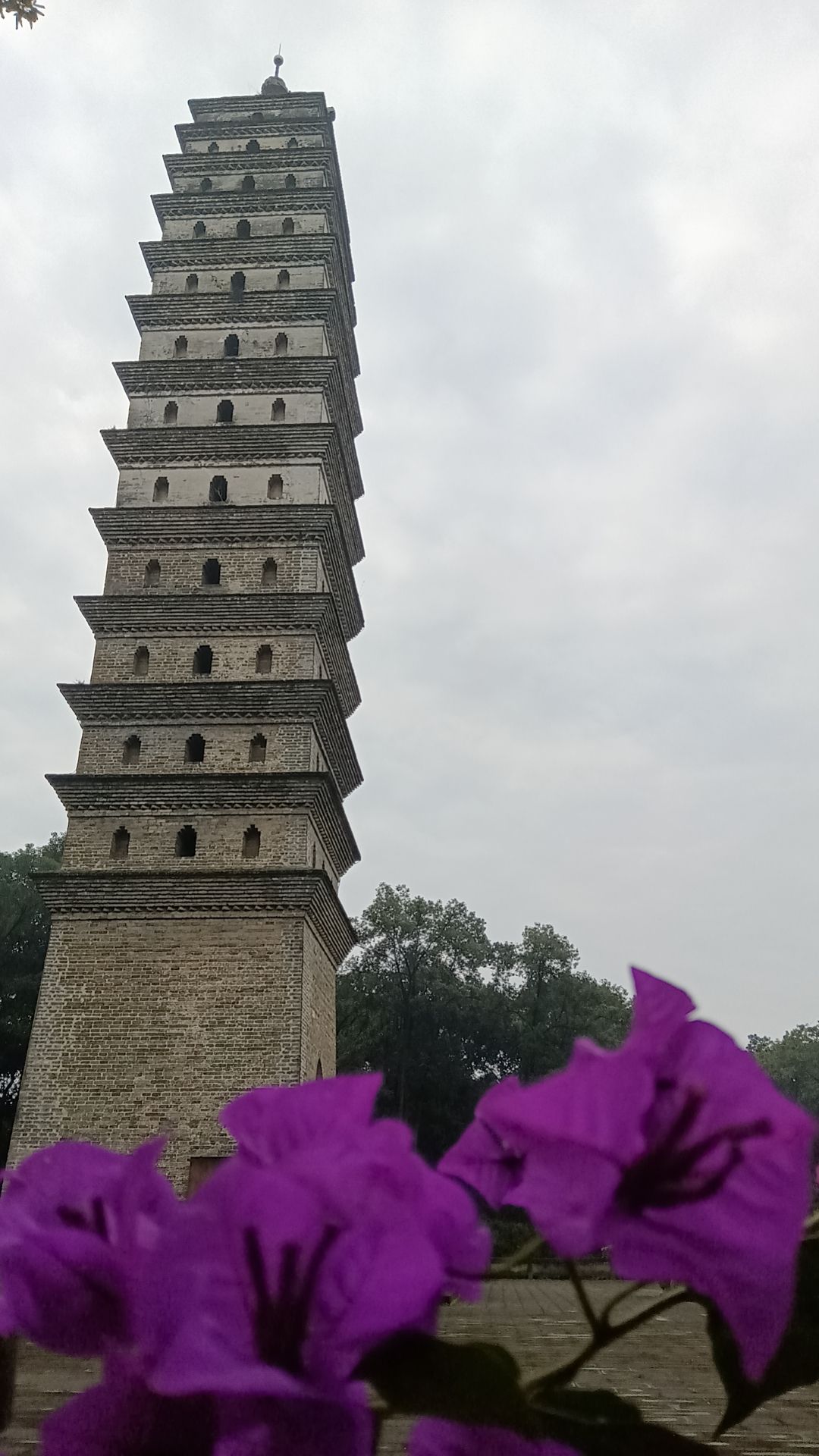 大旺山景区旅行图片 1