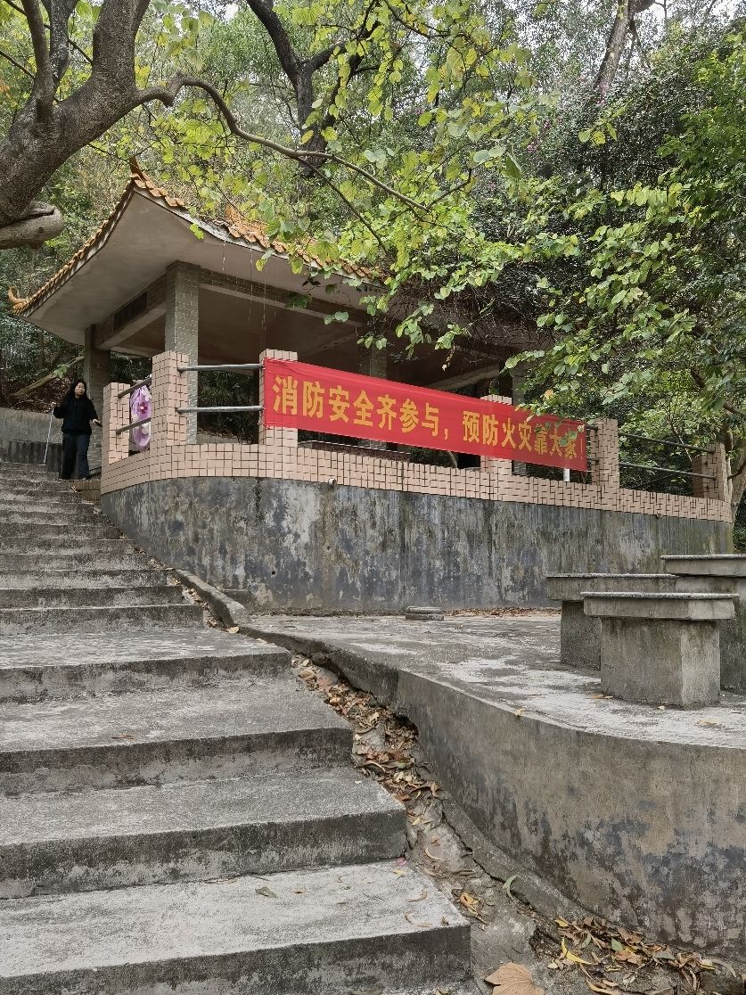 莲溪凤山公园旅行图片 2
