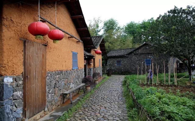 万柳洲公园旅行图片 3