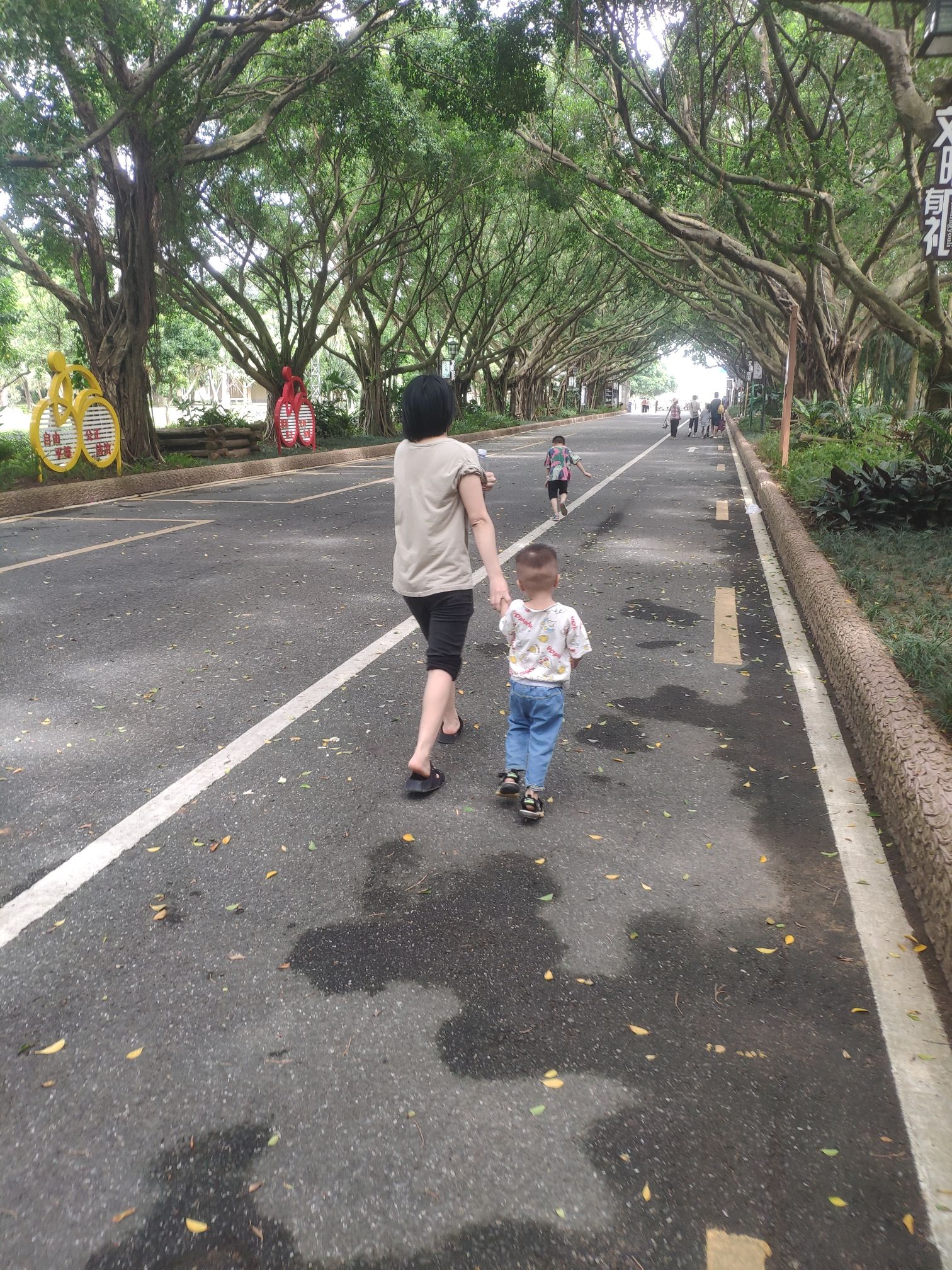 湛江市森林公园旅行图片 2