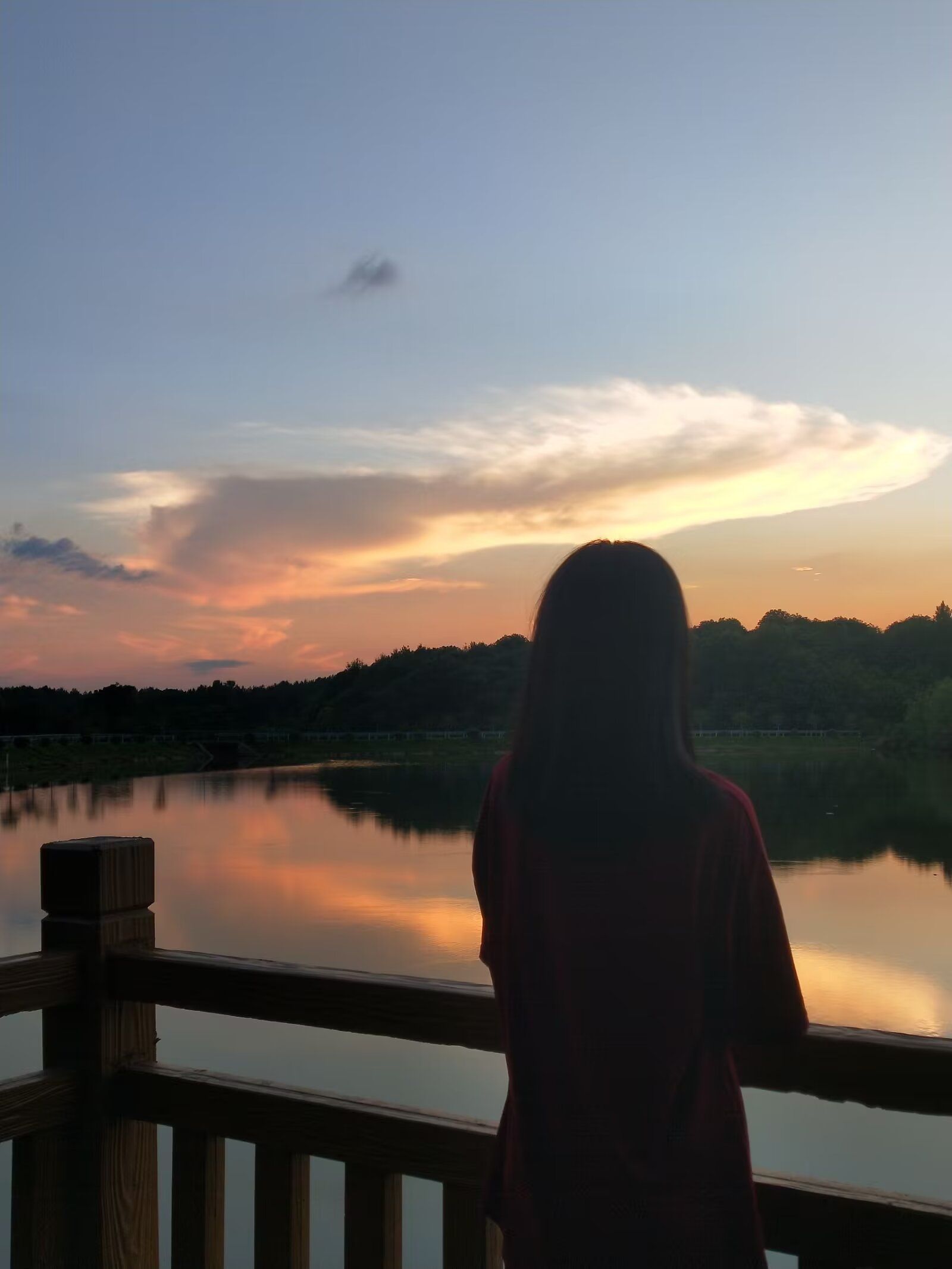 九龙湾公园旅行图片 1