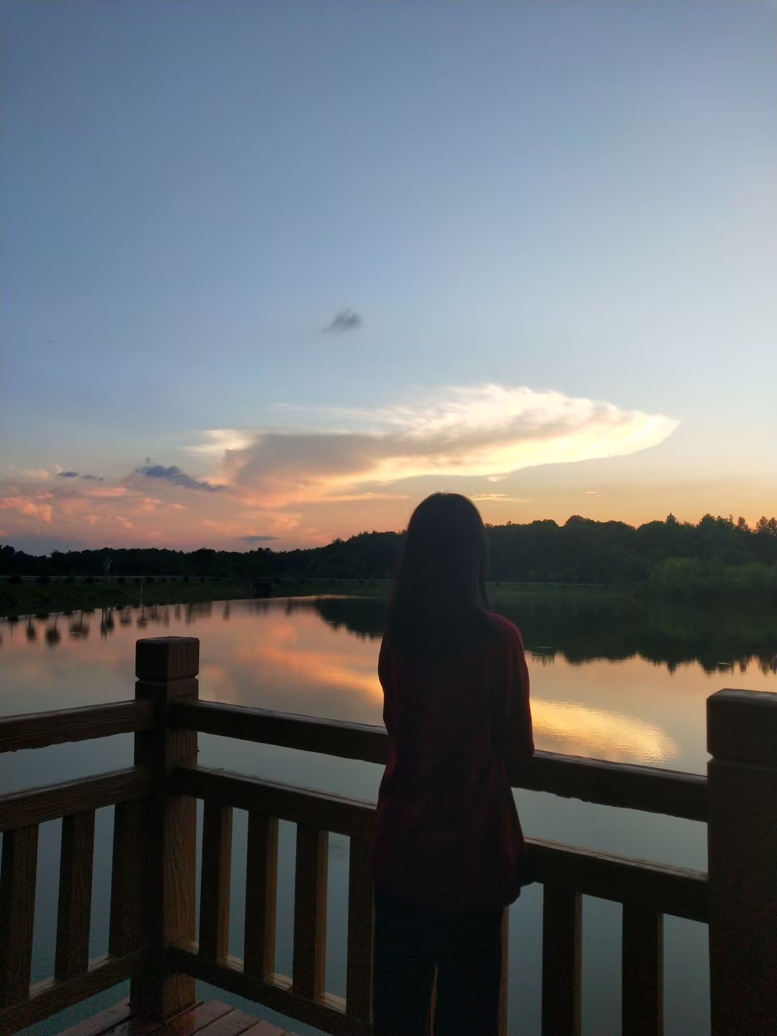 九龙湾公园旅行图片 3