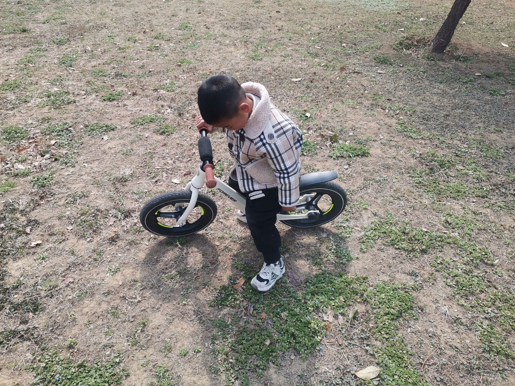 尚岗杨遗址公园旅行图片 3
