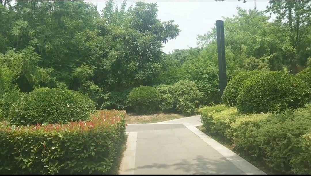 尚岗杨遗址公园旅行图片 3