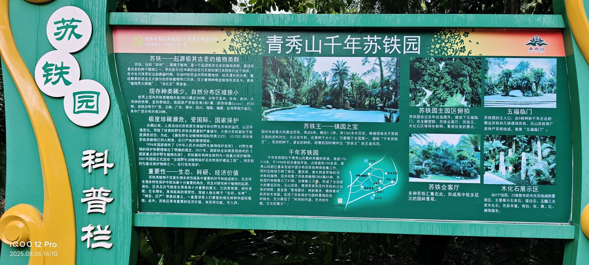 青秀山风景区千年苏铁园