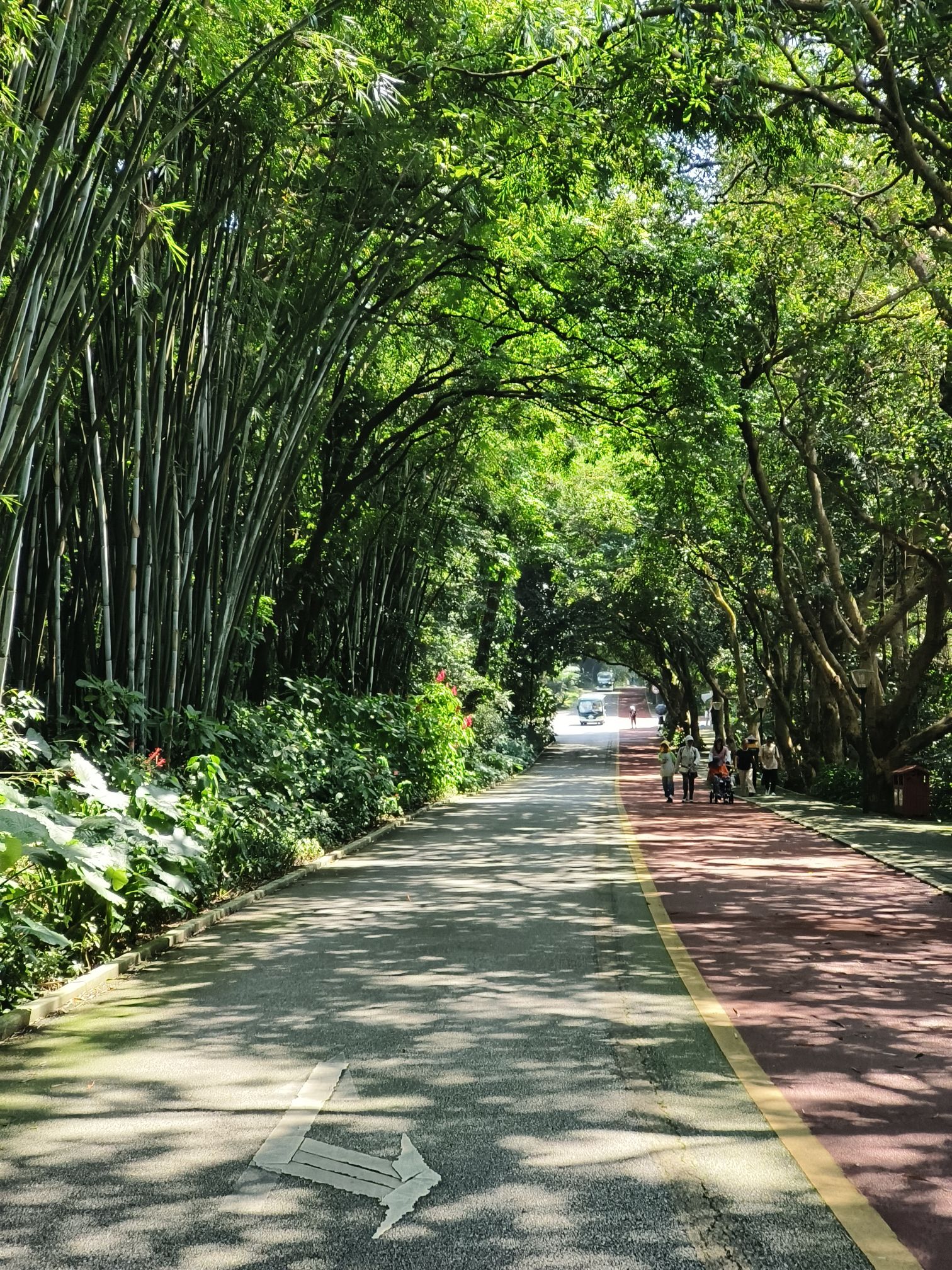 青秀山风景区千年苏铁园