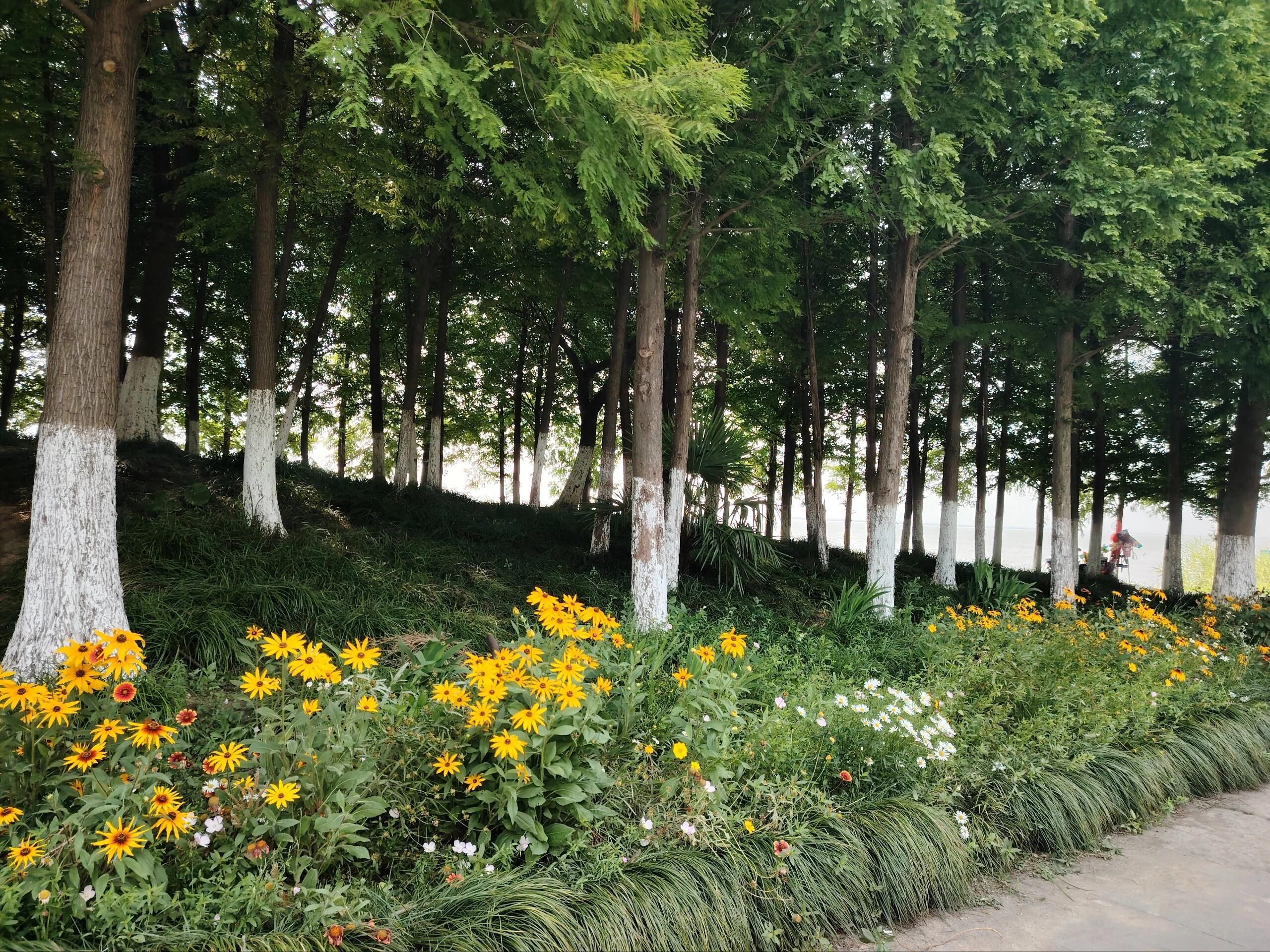 巴城阳澄湖旅游度假区旅行图片 1