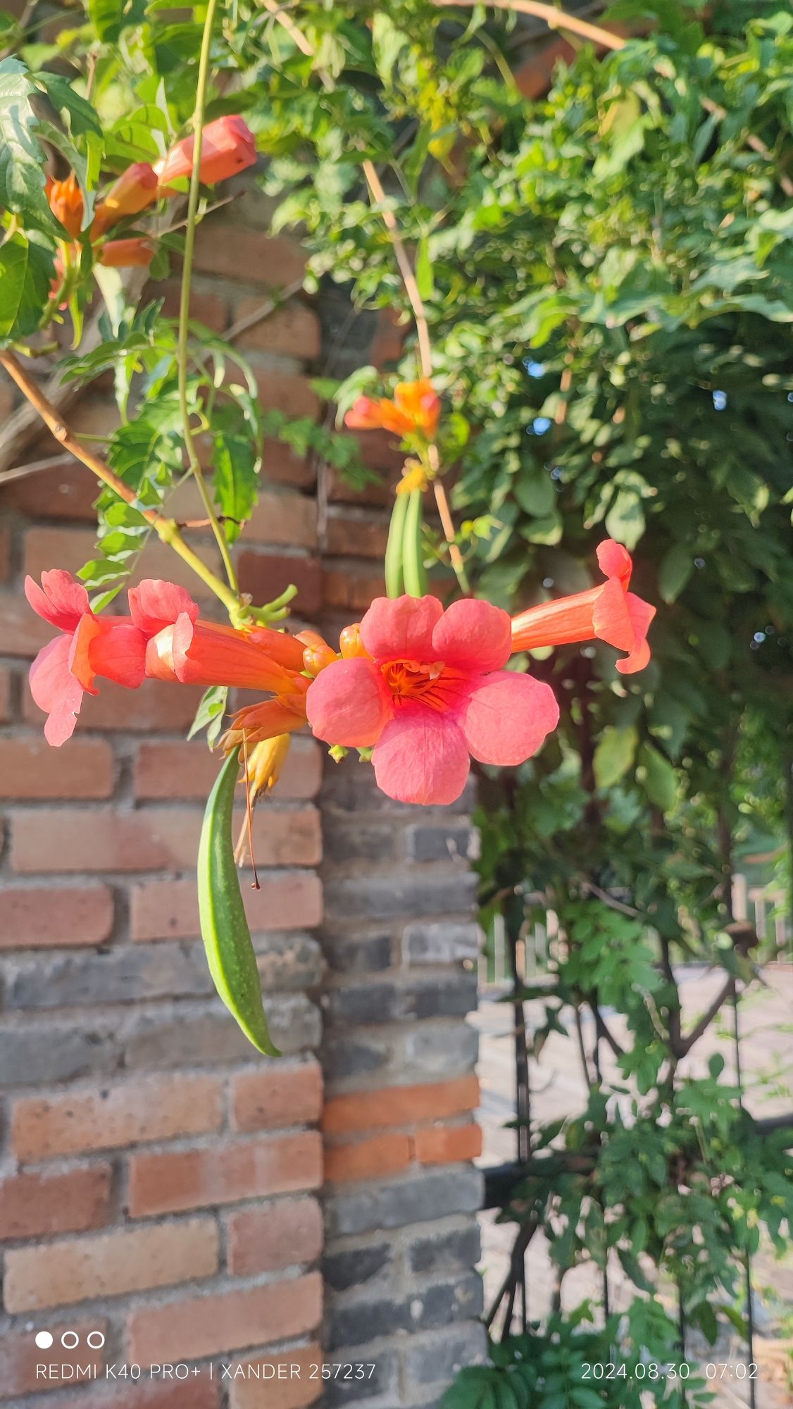 红汕坞景区旅行图片 2