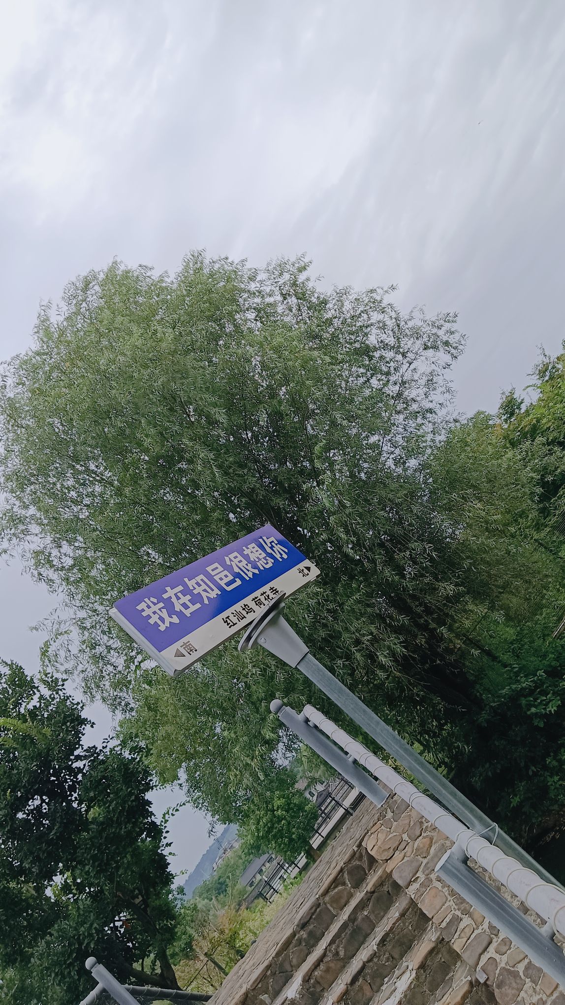 红汕坞景区旅行图片 3