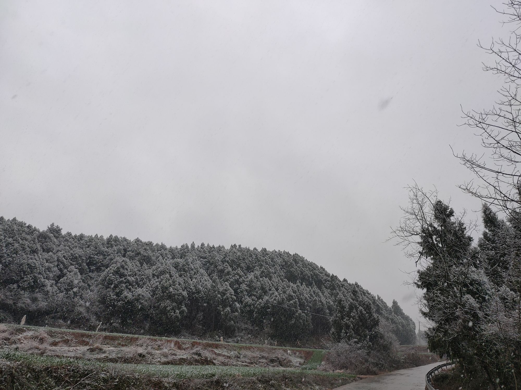 鸭鹤岩旅行图片 3