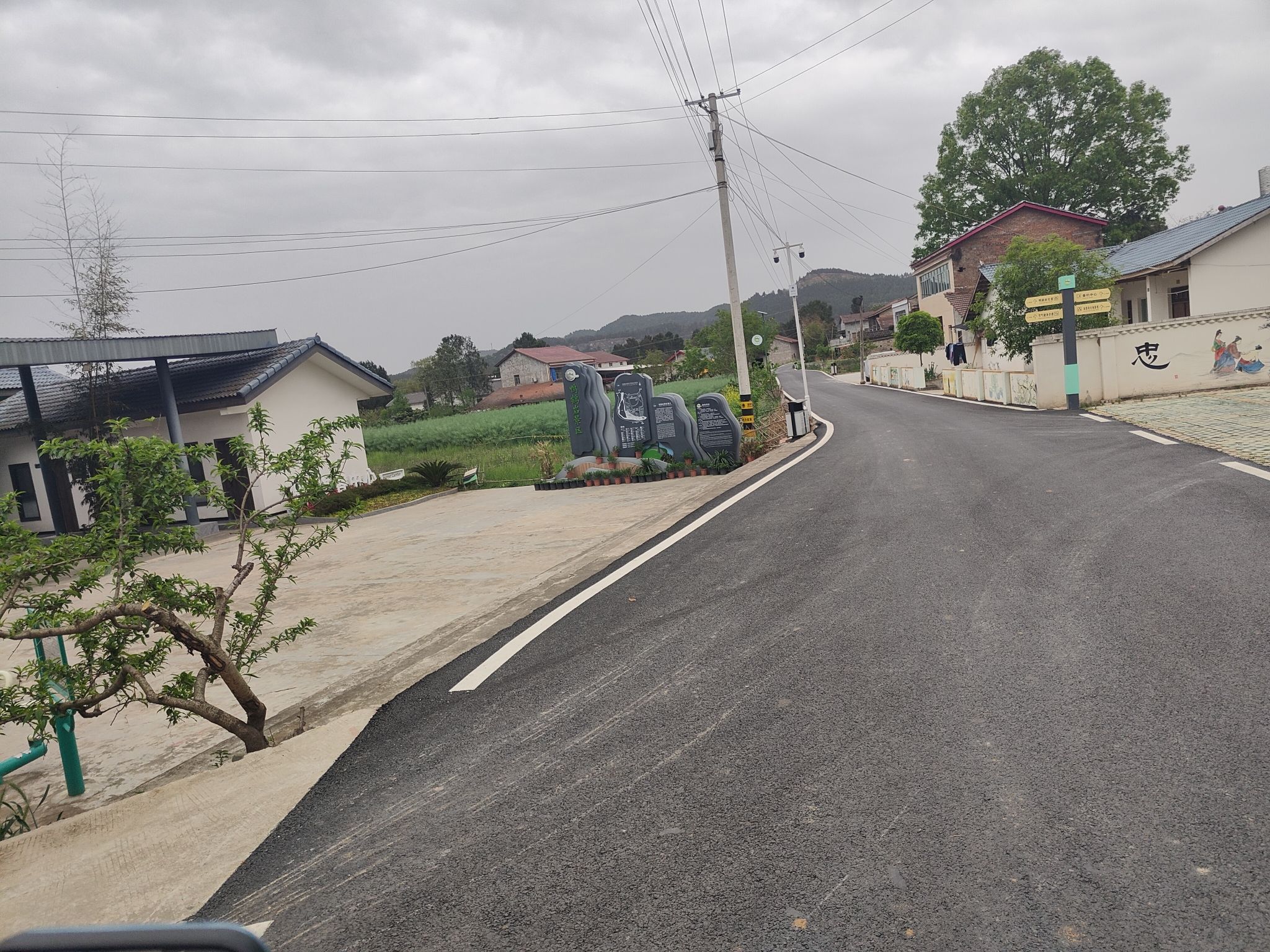 鸭鹤岩旅行图片 3