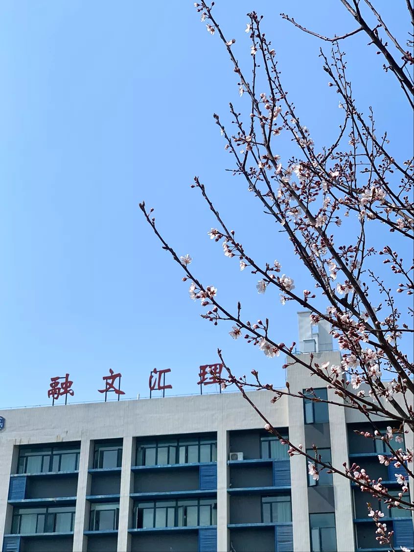 武汉文理学院