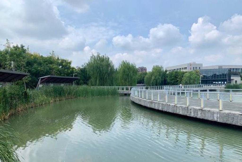 赵巷公园旅行图片 2