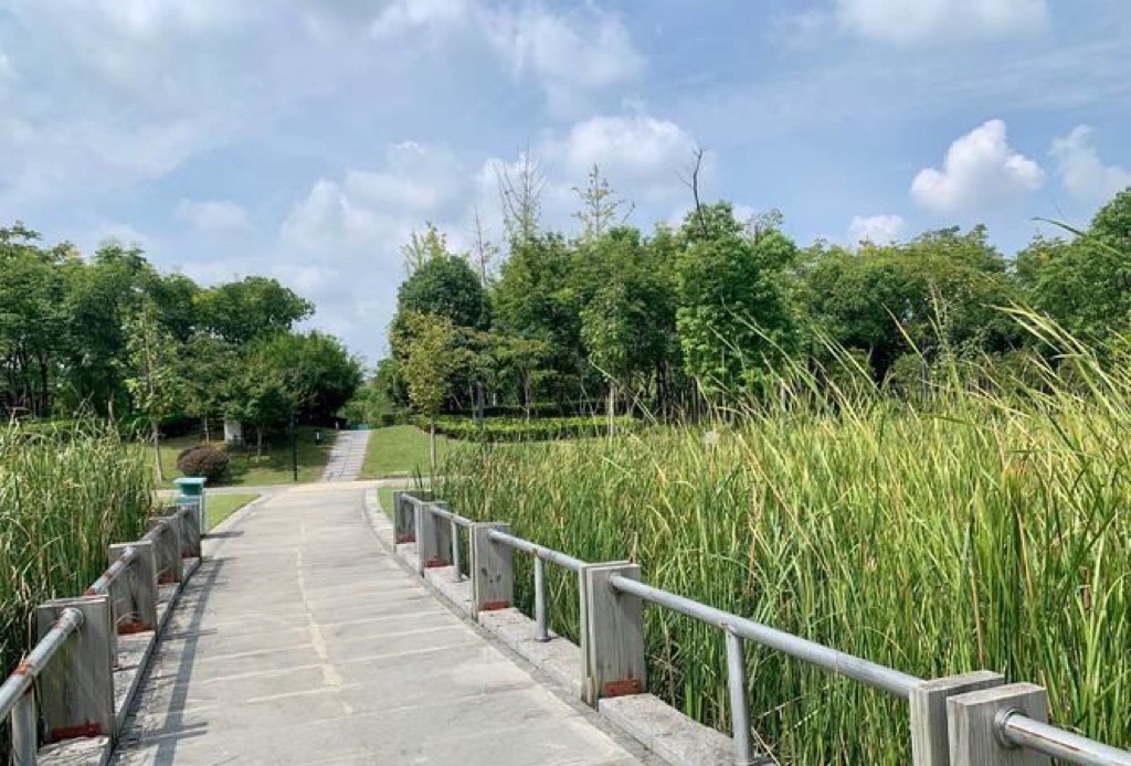 赵巷公园旅行图片 3