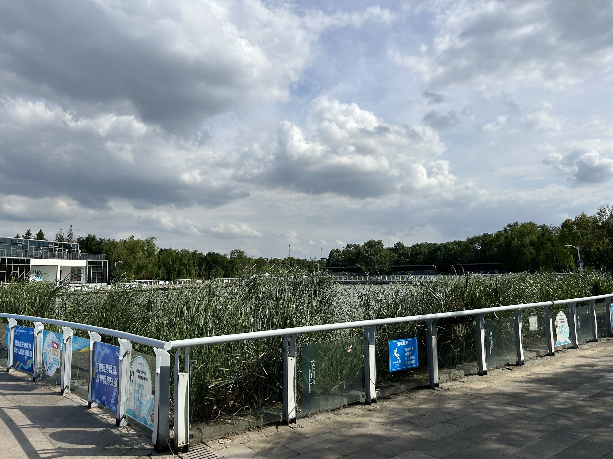 赵巷公园旅行图片 2