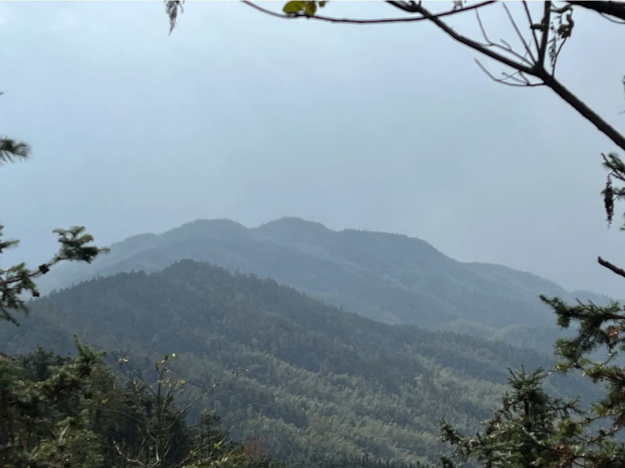 神鼎山森林公园旅行图片 1