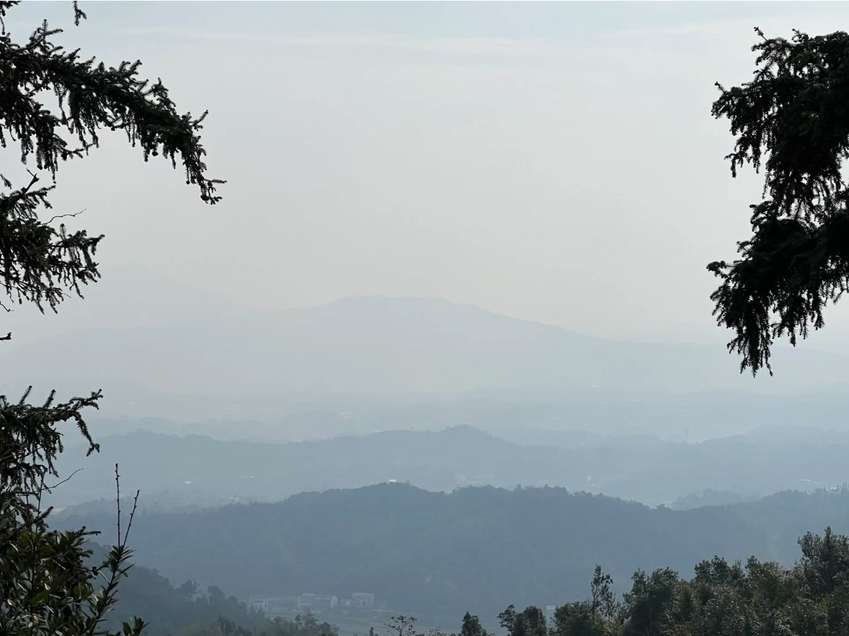 神鼎山森林公园旅行图片 2