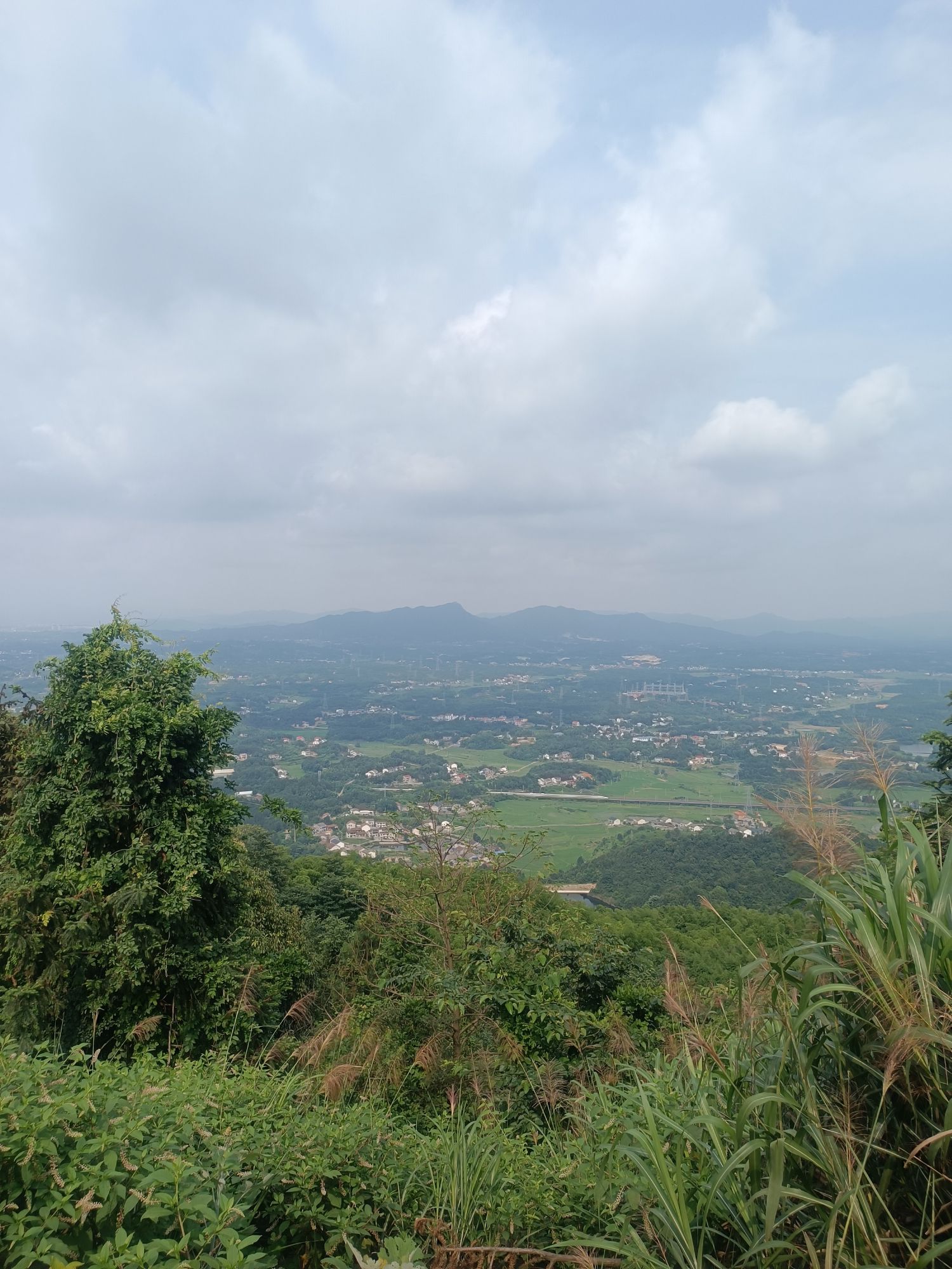 神鼎山森林公园旅行图片 1