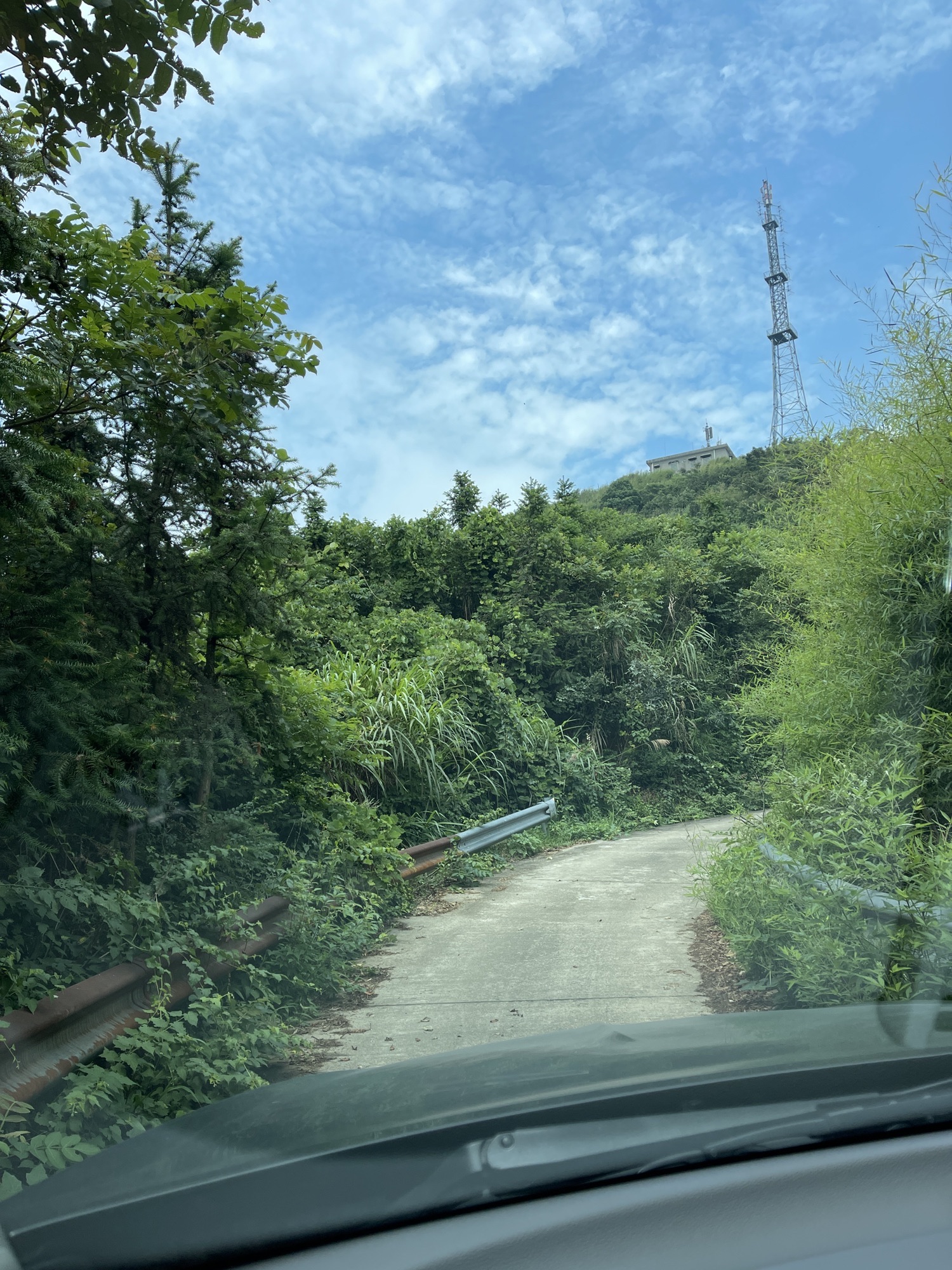神鼎山森林公园旅行图片 2