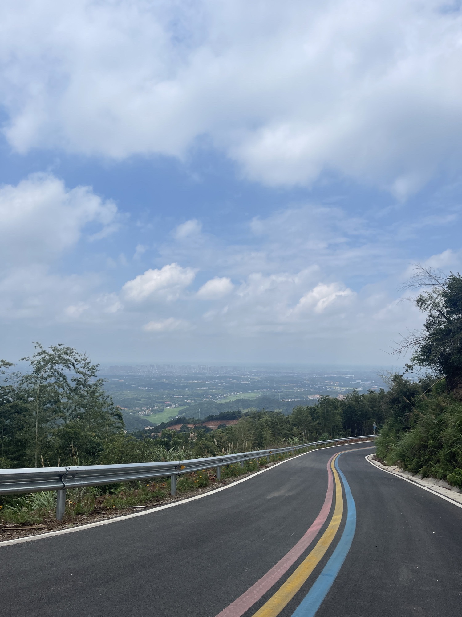神鼎山森林公园